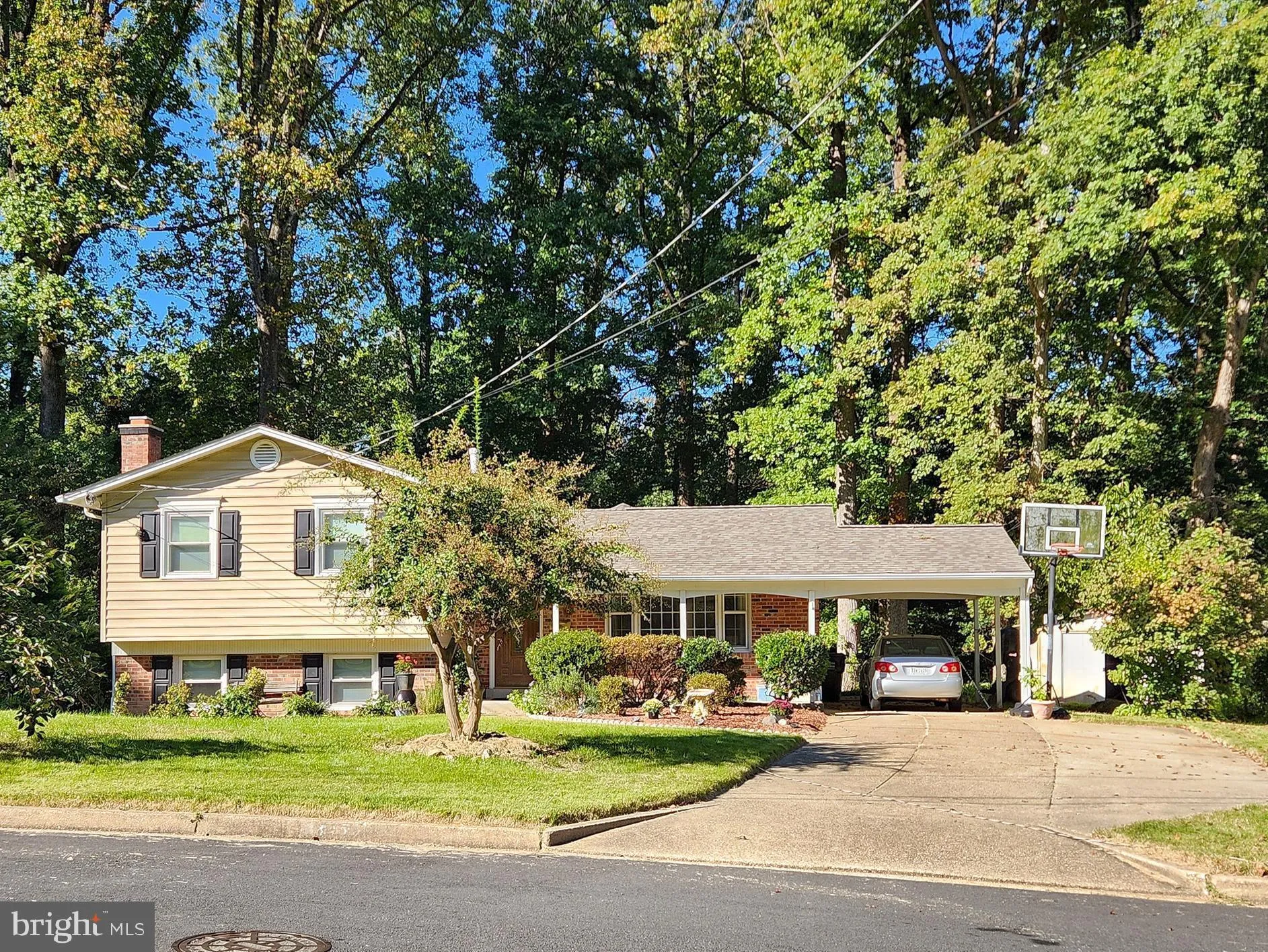 8112 DABNEY AVENUE, Springfield, VA 22152