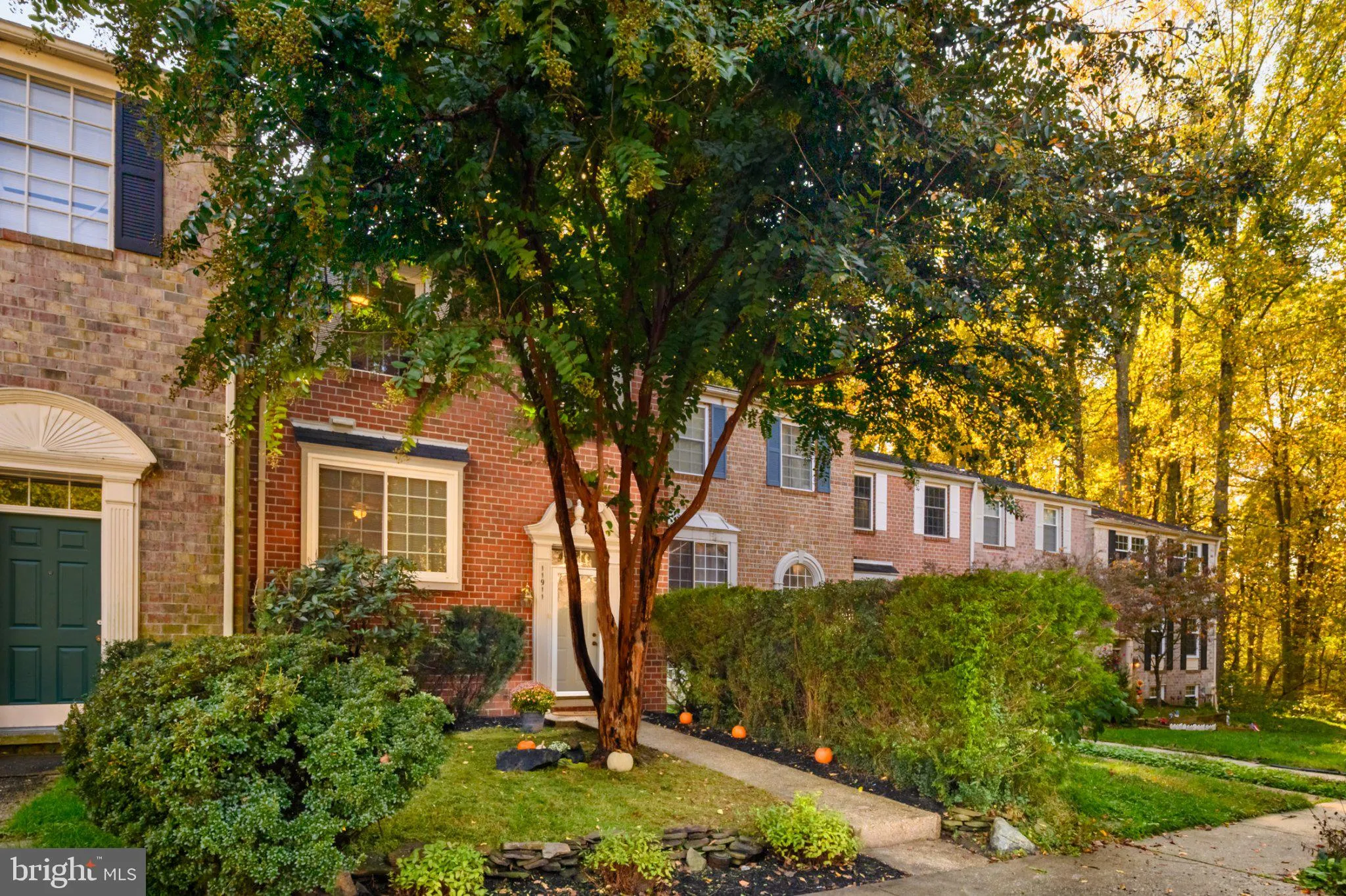 11911 BLUE FEBRUARY WAY, Columbia, MD 21044