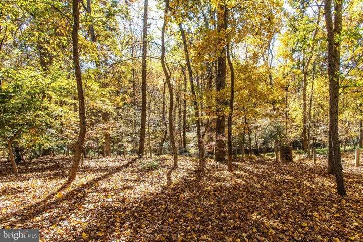 8869 Glenridge Ct, Vienna, Virginia 22182
