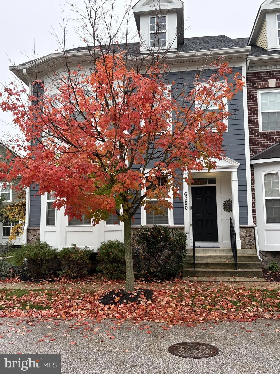 6050 LOGANS WAY, Ellicott City, MD 21043