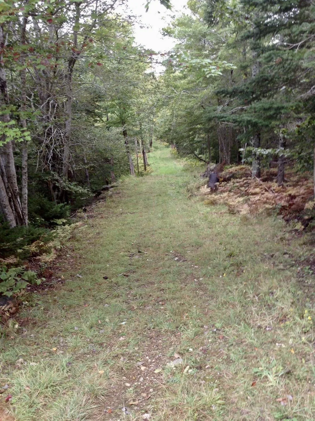 255 Virginia Road, Virginia East Ns B0s 1g0, 3 Bedrooms Bedrooms, ,1 BathroomBathrooms,Residential,For Sale,Virginia,202509967