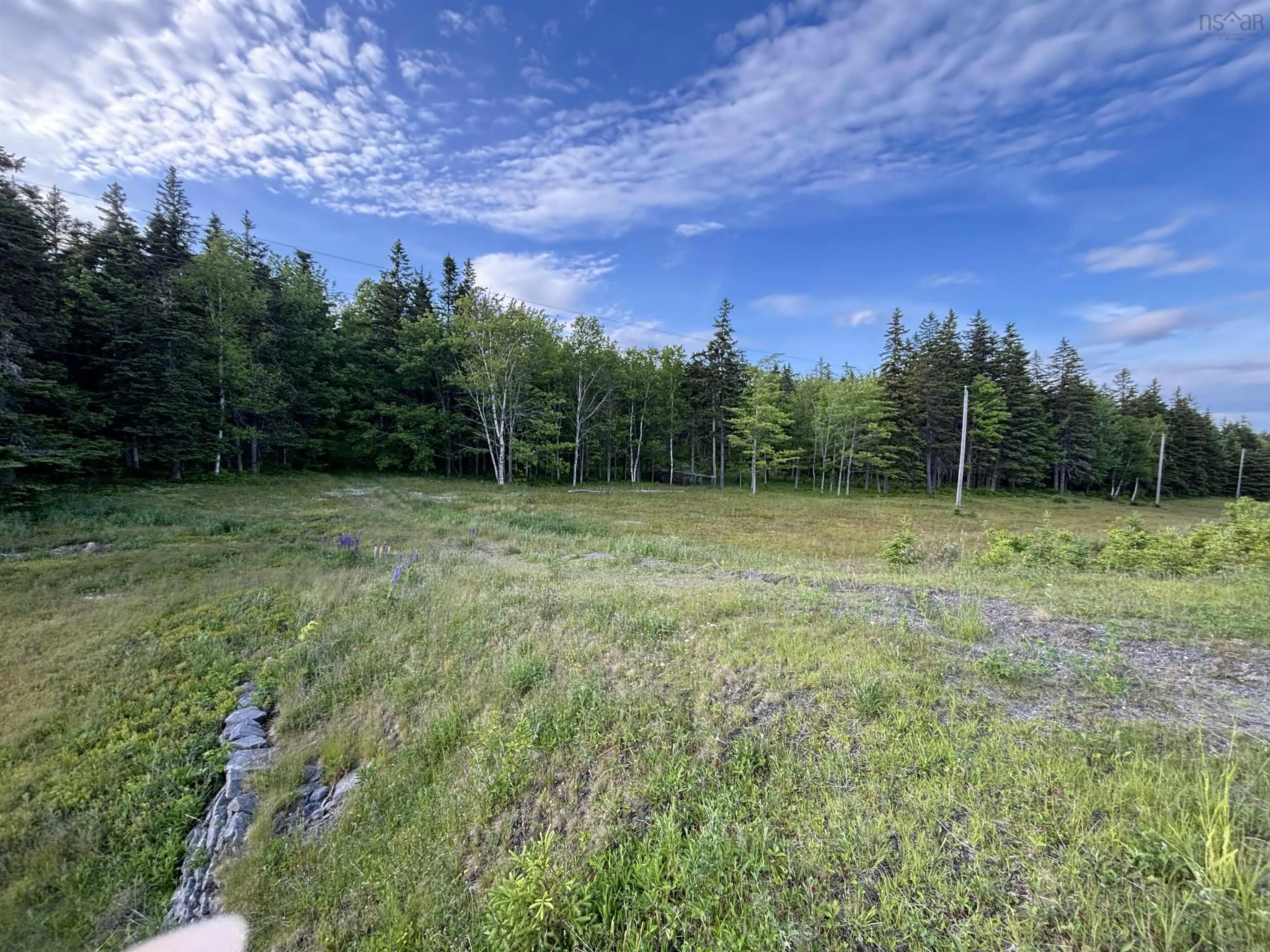 New Dominion Road, Dalem Lake, NS B1Y 2X9, ,Land,For Sale,New Dominion,202520782