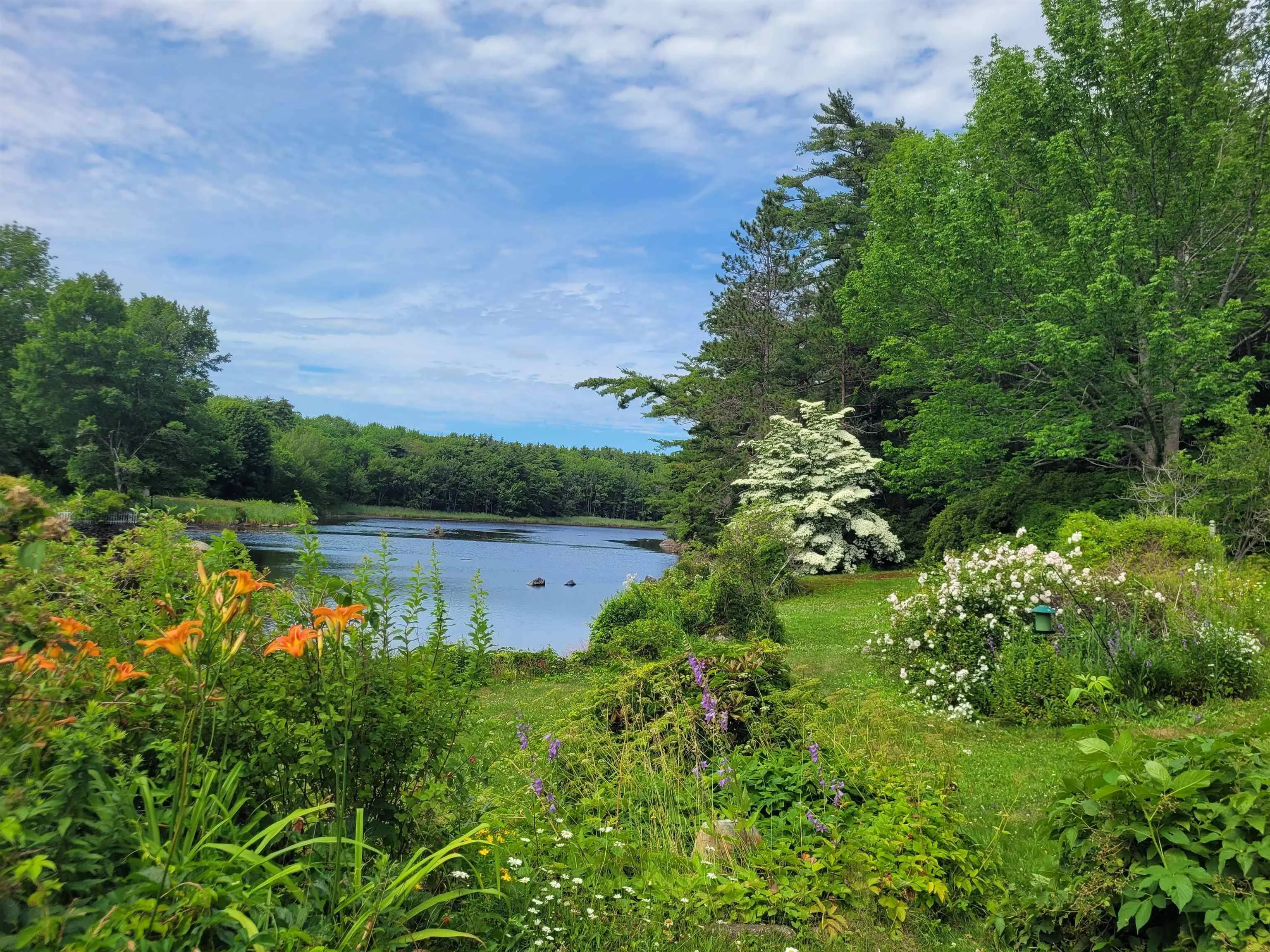 221 Highway 8, Milton, NS B0T 1P0, 5 Bedrooms Bedrooms, ,1 BathroomBathrooms,Residential,For Sale,Highway 8,202518234