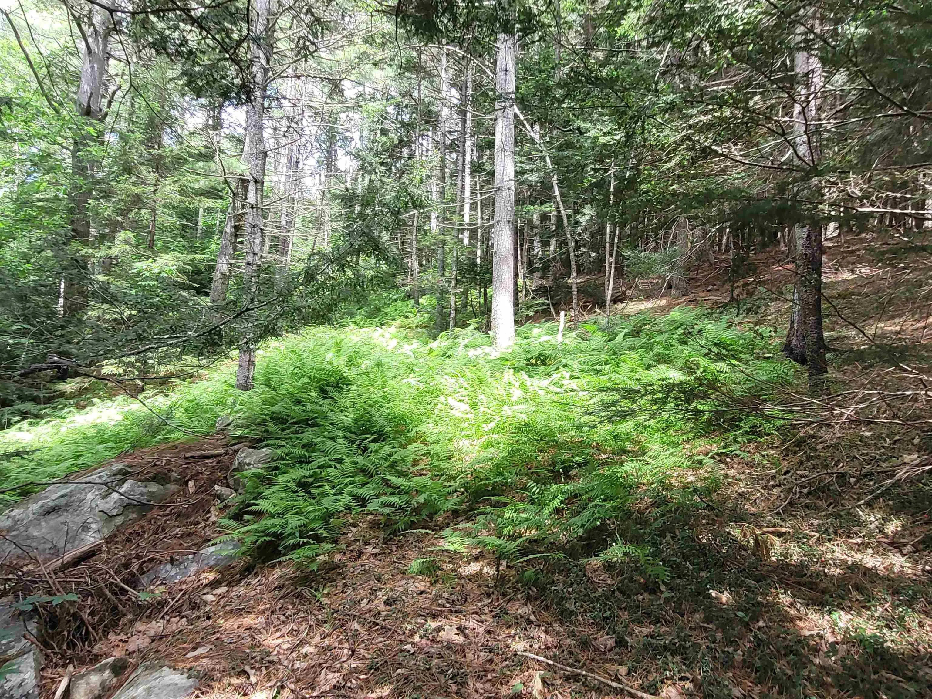 221 Highway 8, Milton, NS B0T 1P0, 5 Bedrooms Bedrooms, ,1 BathroomBathrooms,Residential,For Sale,Highway 8,202518234