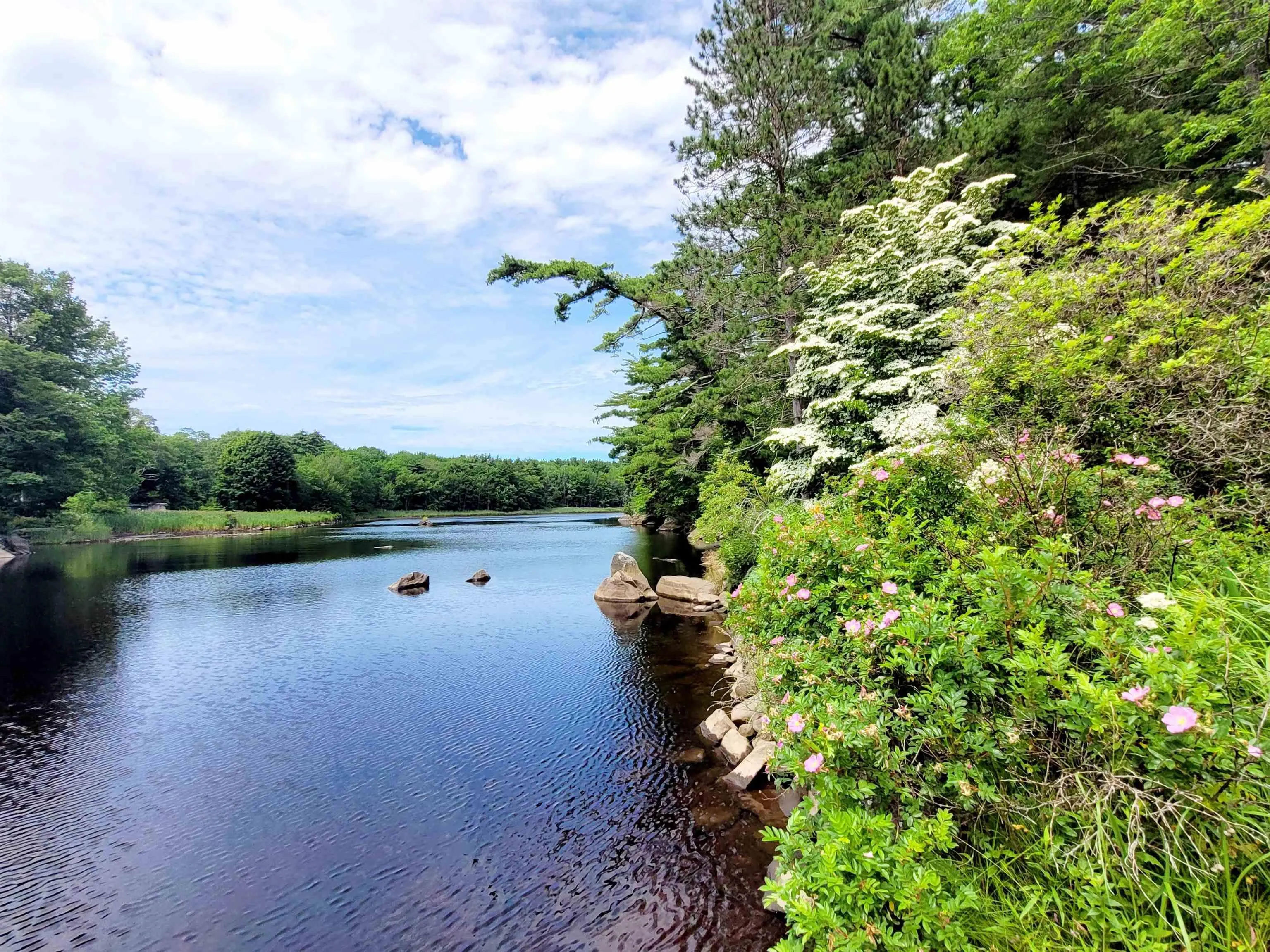 221 Highway 8, Milton, NS B0T 1P0, 5 Bedrooms Bedrooms, ,1 BathroomBathrooms,Residential,For Sale,Highway 8,202518234
