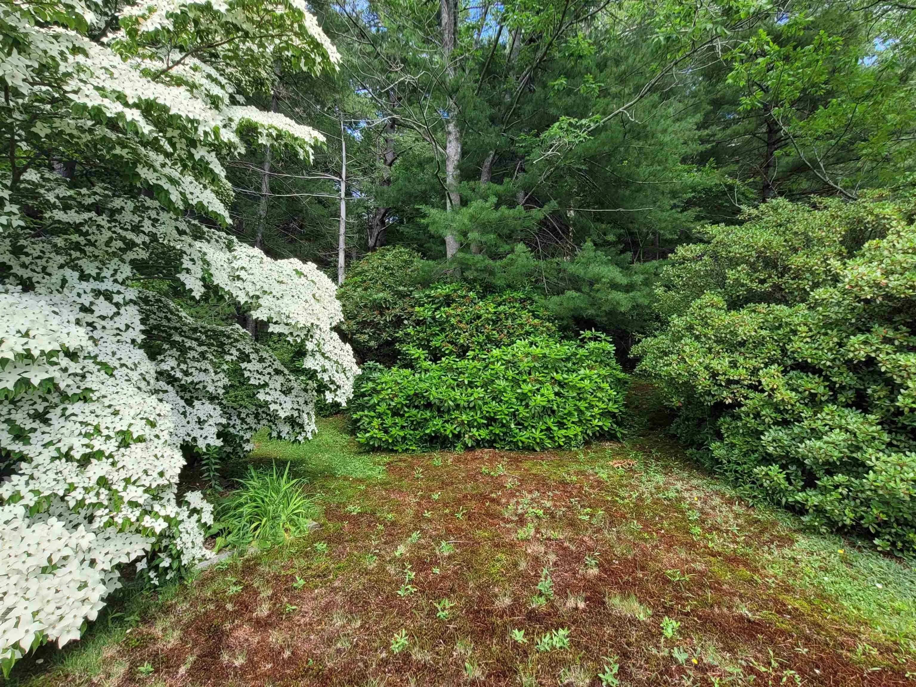 221 Highway 8, Milton, NS B0T 1P0, 5 Bedrooms Bedrooms, ,1 BathroomBathrooms,Residential,For Sale,Highway 8,202518234