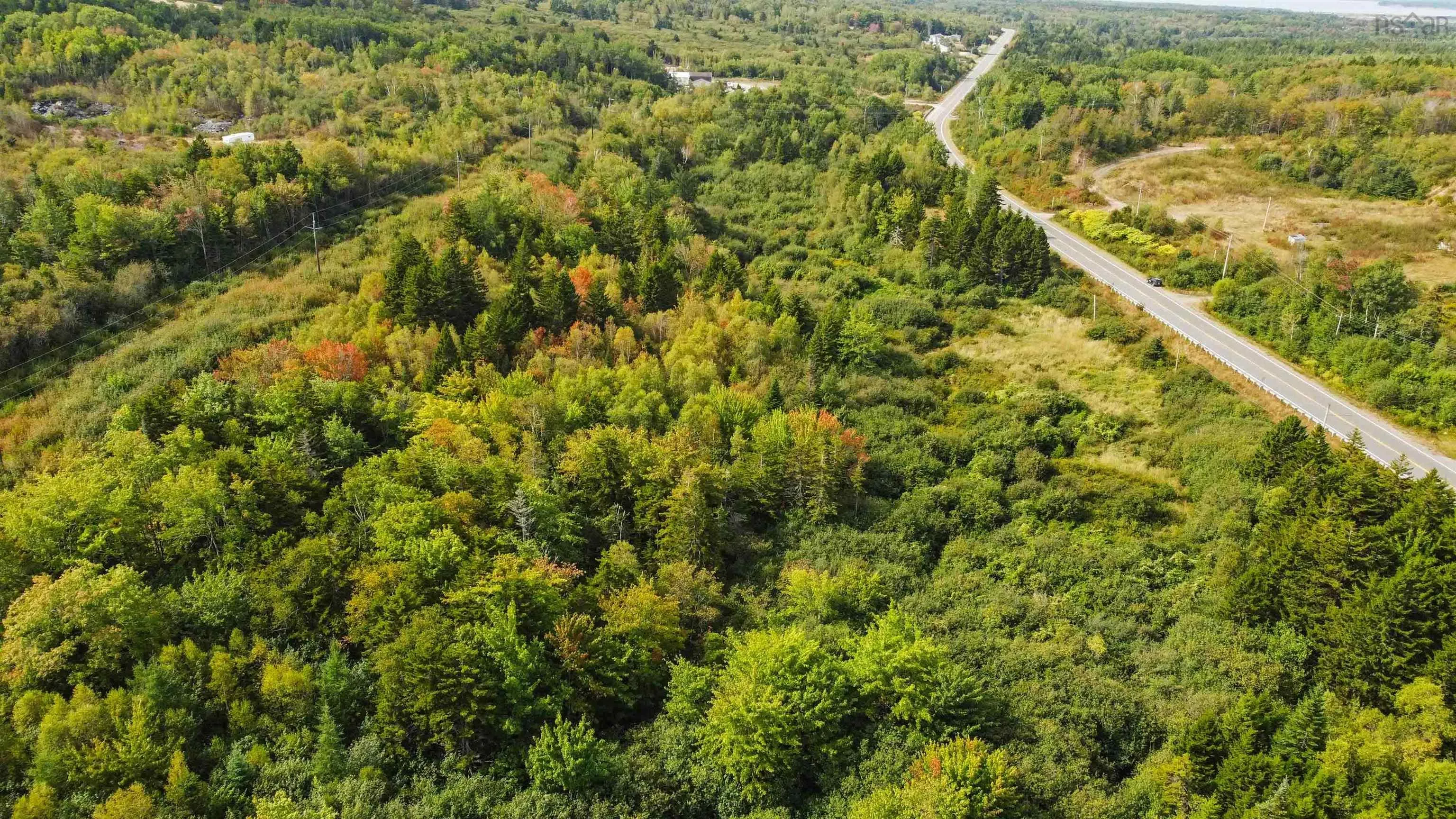 9844 Highway 1, Marshalltown, NS B0V 1A0, ,Land,For Sale,Highway 1,202523157