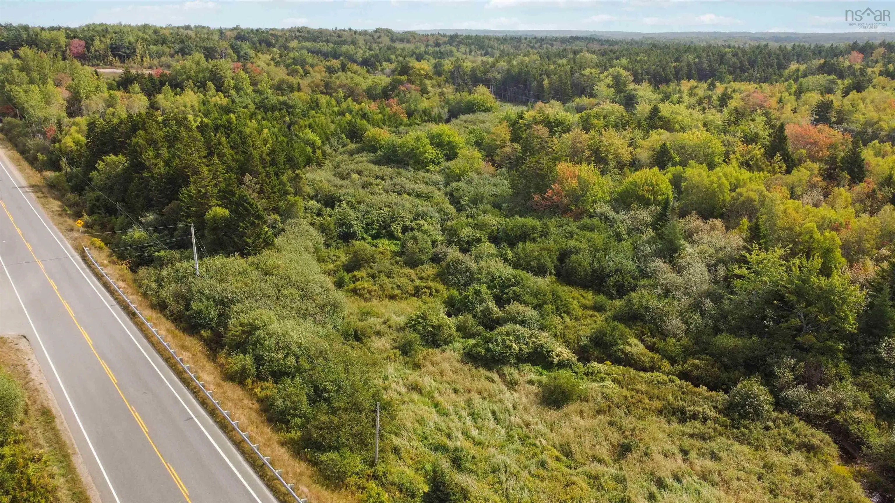 9844 Highway 1, Marshalltown, NS B0V 1A0, ,Land,For Sale,Highway 1,202523157