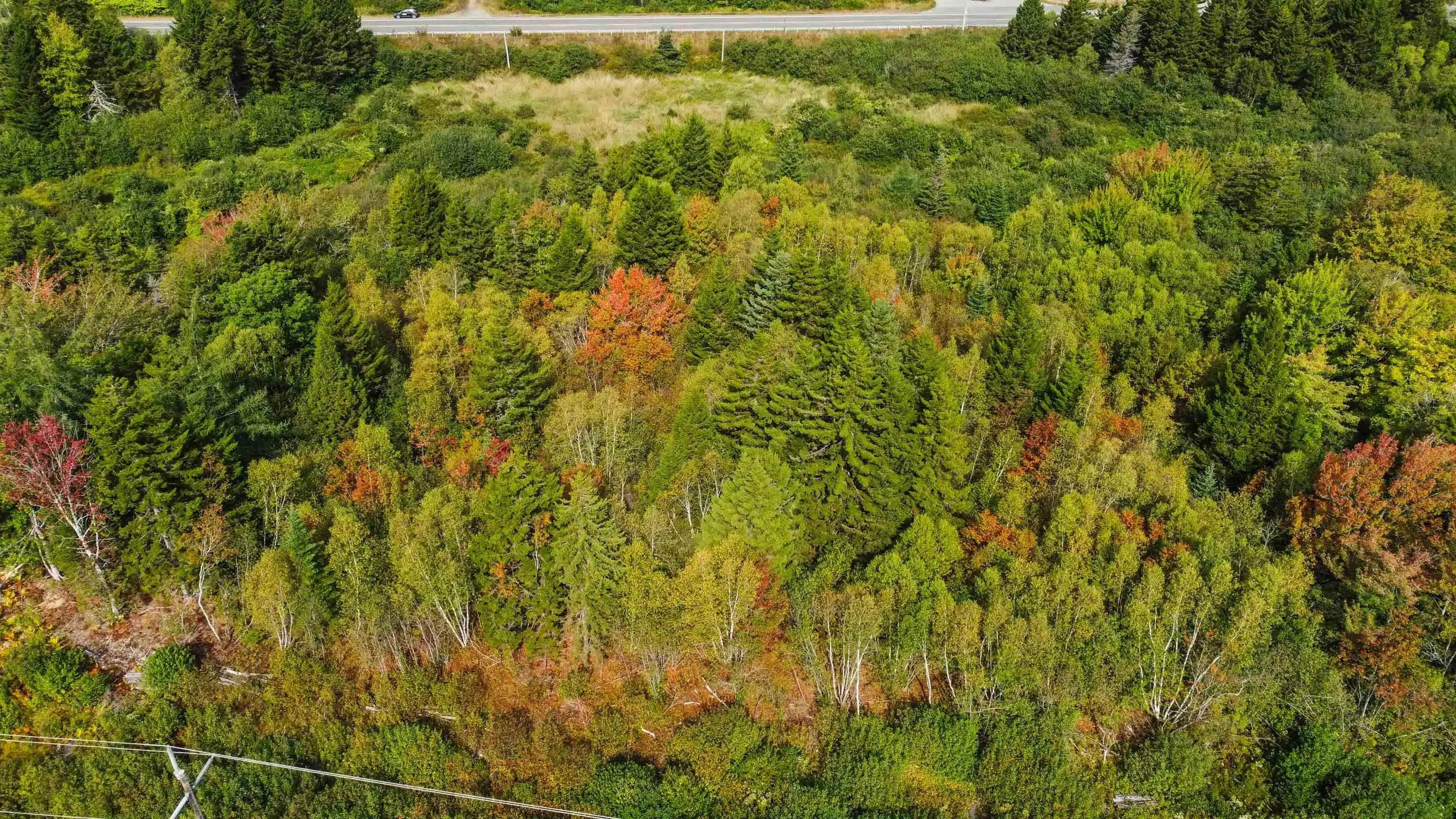 9844 Highway 1, Marshalltown, NS B0V 1A0, ,Land,For Sale,Highway 1,202523157