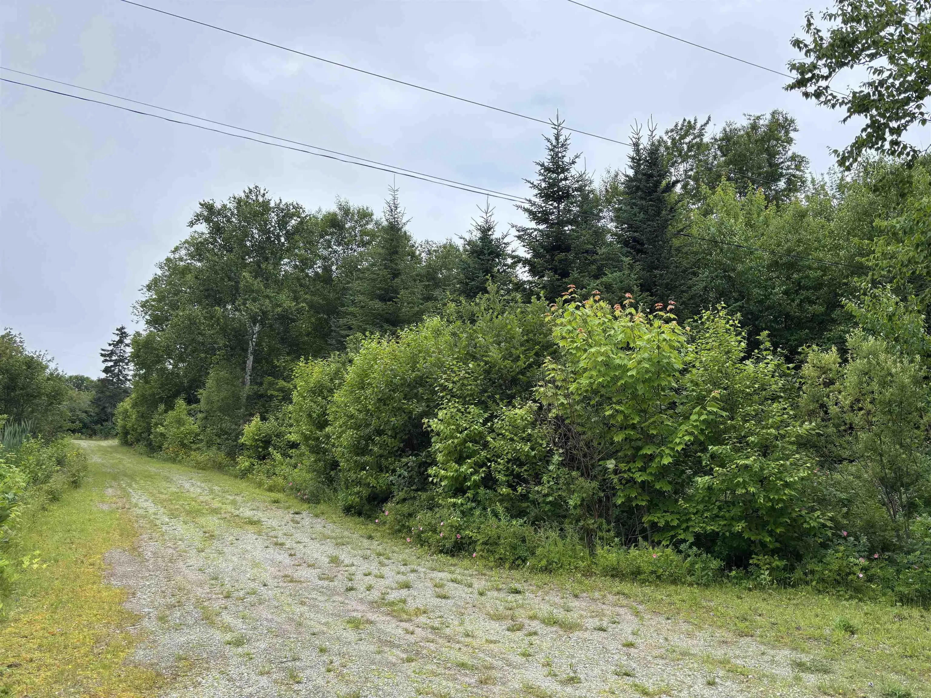 15-lot 15 Aden Lane, Big Pond Centre, NS B0A 1H0, ,Land,For Sale,Aden,202518155