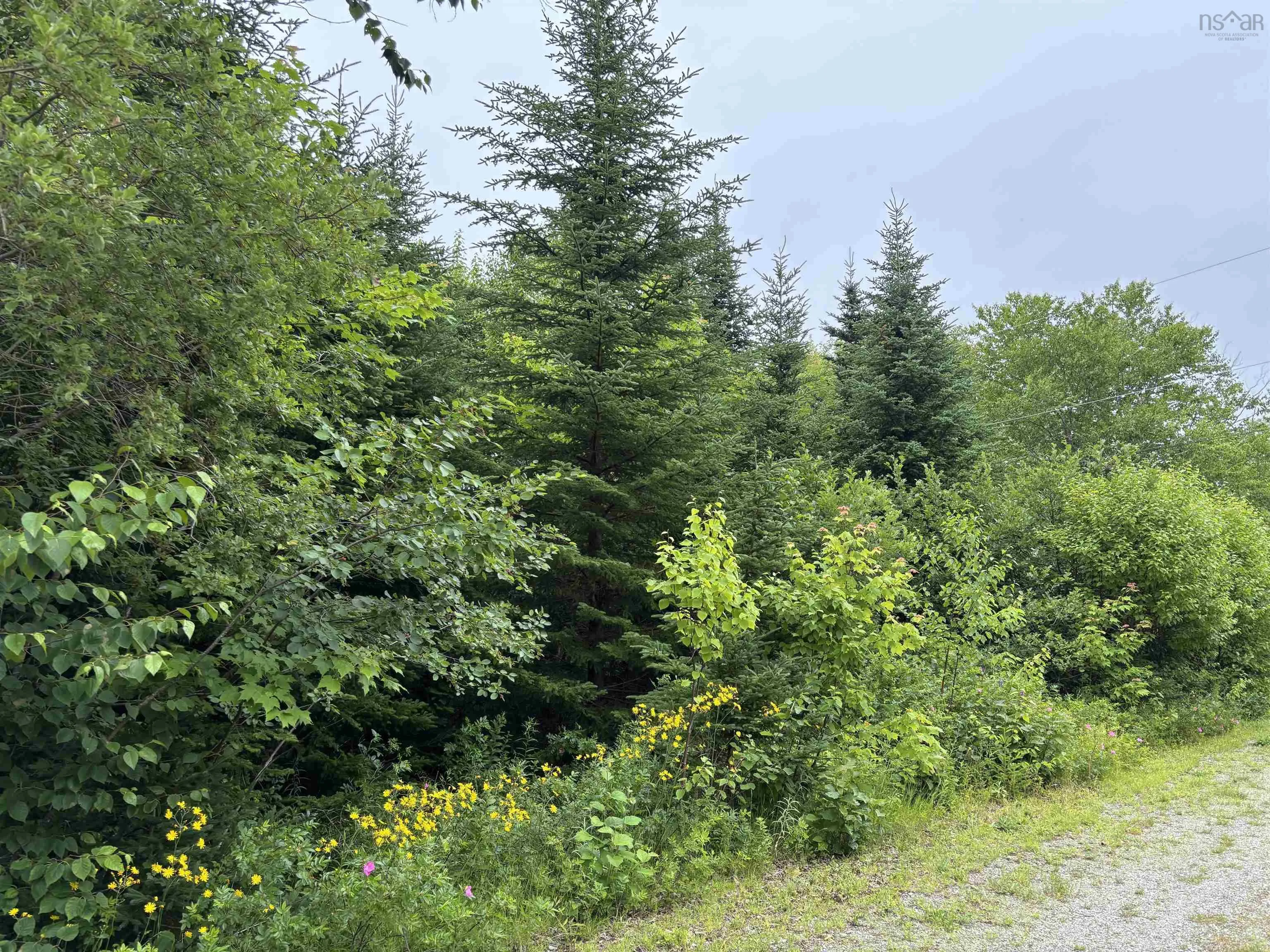 15-lot 15 Aden Lane, Big Pond Centre, NS B0A 1H0, ,Land,For Sale,Aden,202518155