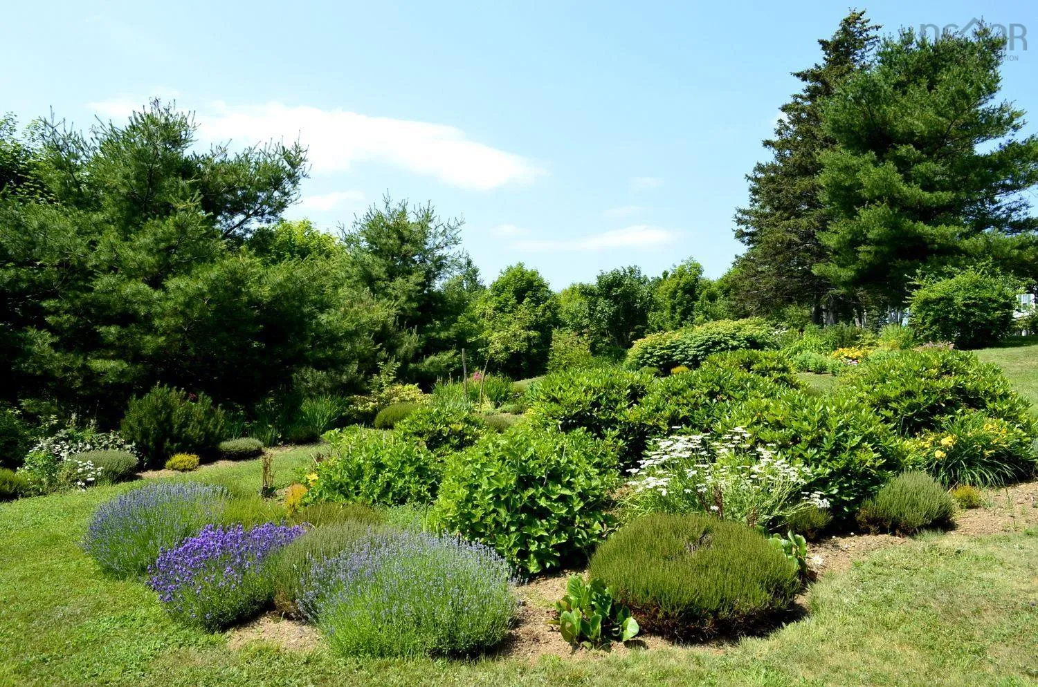 Lot 1 132 Colonial Arms Drive, Deep Brook Ns B0s 1j0, ,Land,For Sale,132 Colonial Arms Drive,202510621