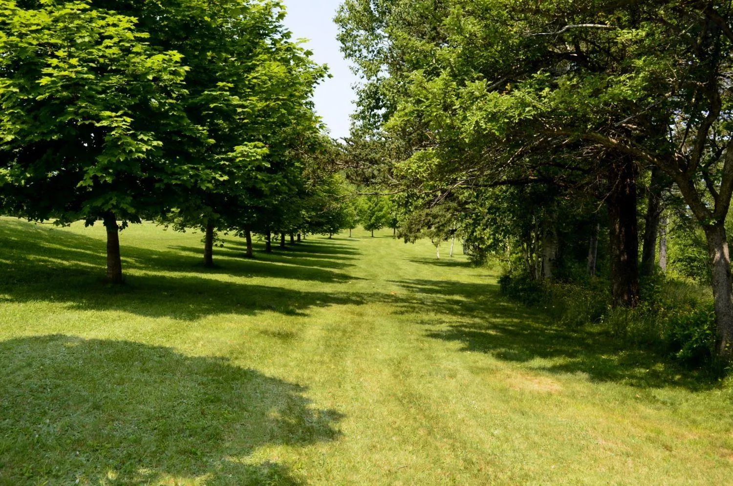 Lot 1 132 Colonial Arms Drive, Deep Brook Ns B0s 1j0, ,Land,For Sale,132 Colonial Arms Drive,202510621