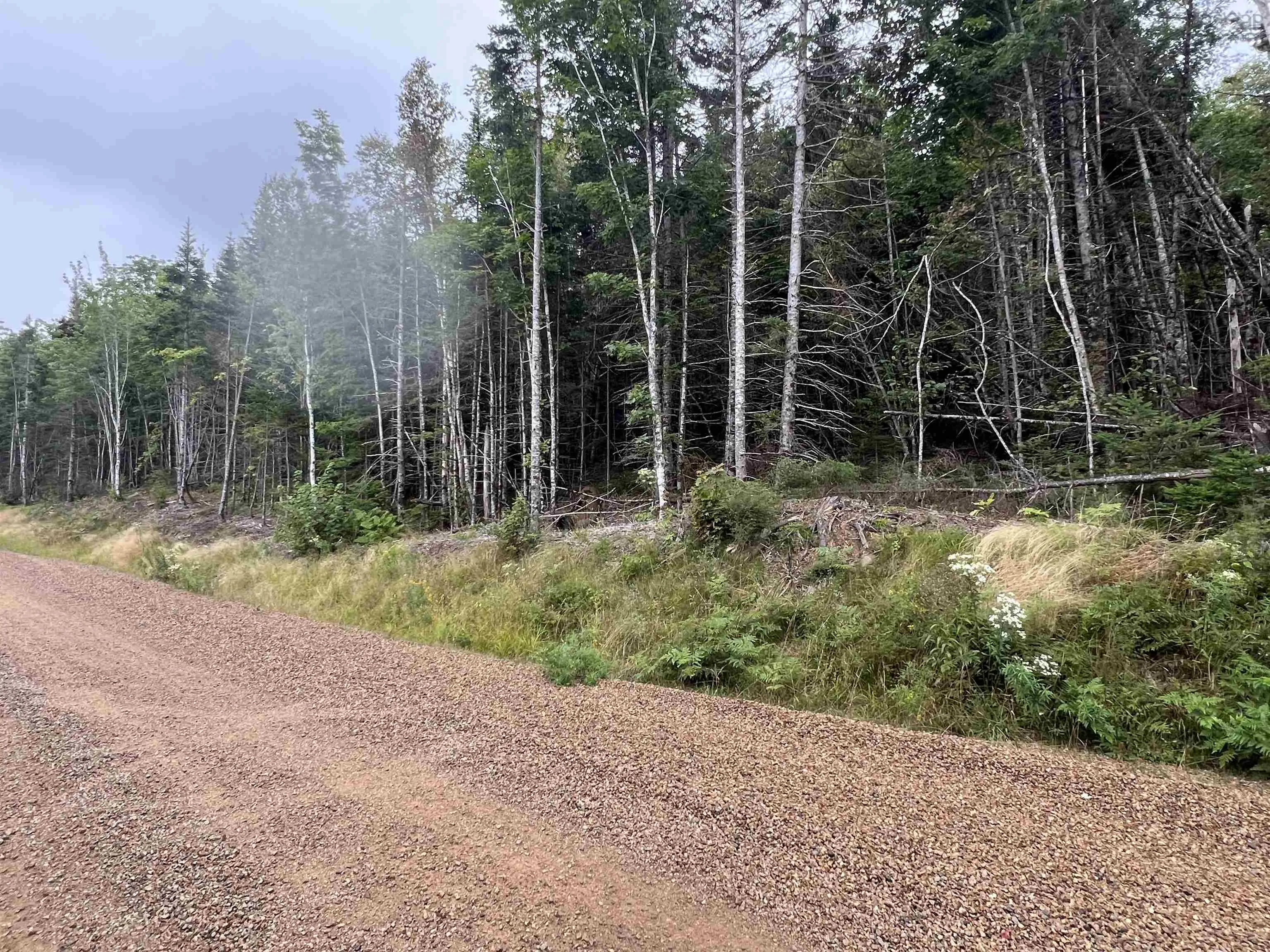 Lochiel Lake Road Lot 6, South Lochaber Ns B2g 2l3, ,Land,For Sale,Lochiel Lake,202421160