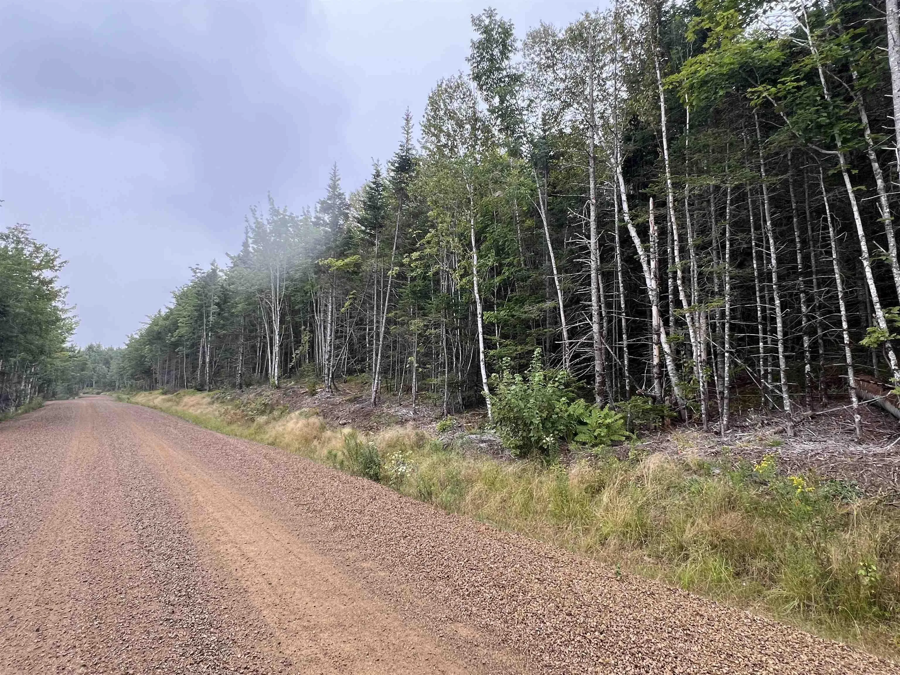 Lochiel Lake Road Lot 6, South Lochaber Ns B2g 2l3, ,Land,For Sale,Lochiel Lake,202421160