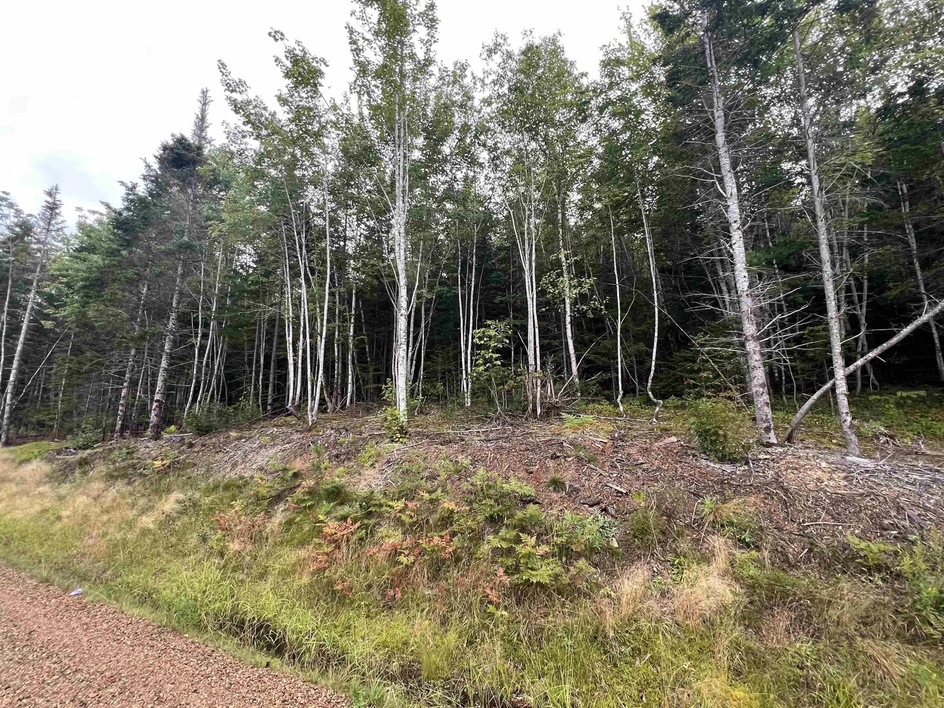 Lochiel Lake Road Lot 6, South Lochaber Ns B2g 2l3, ,Land,For Sale,Lochiel Lake,202421160