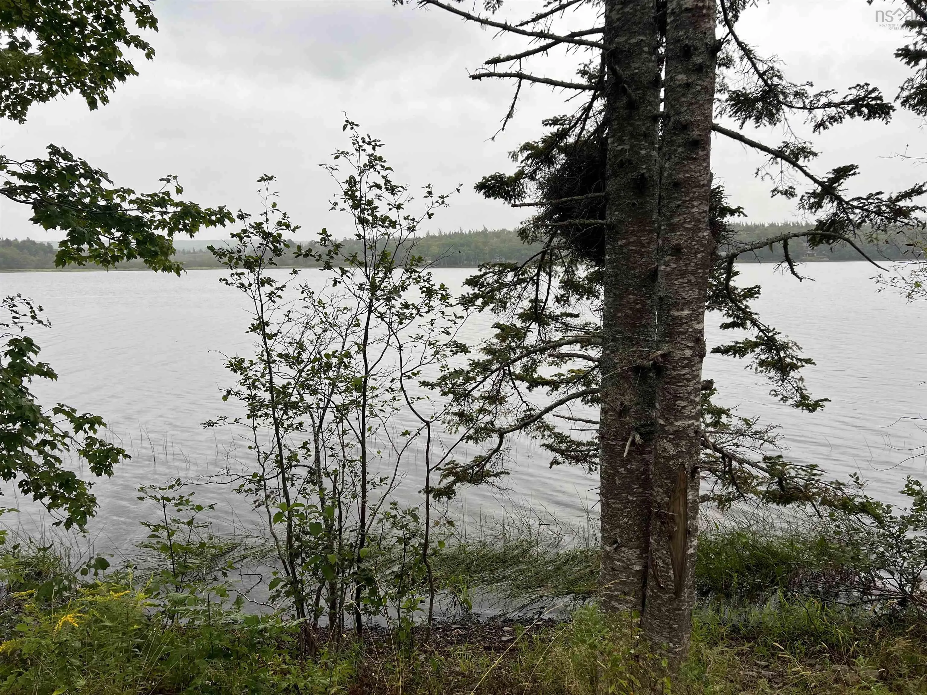 Lochiel Lake Road Lot 6, South Lochaber Ns B2g 2l3, ,Land,For Sale,Lochiel Lake,202421160