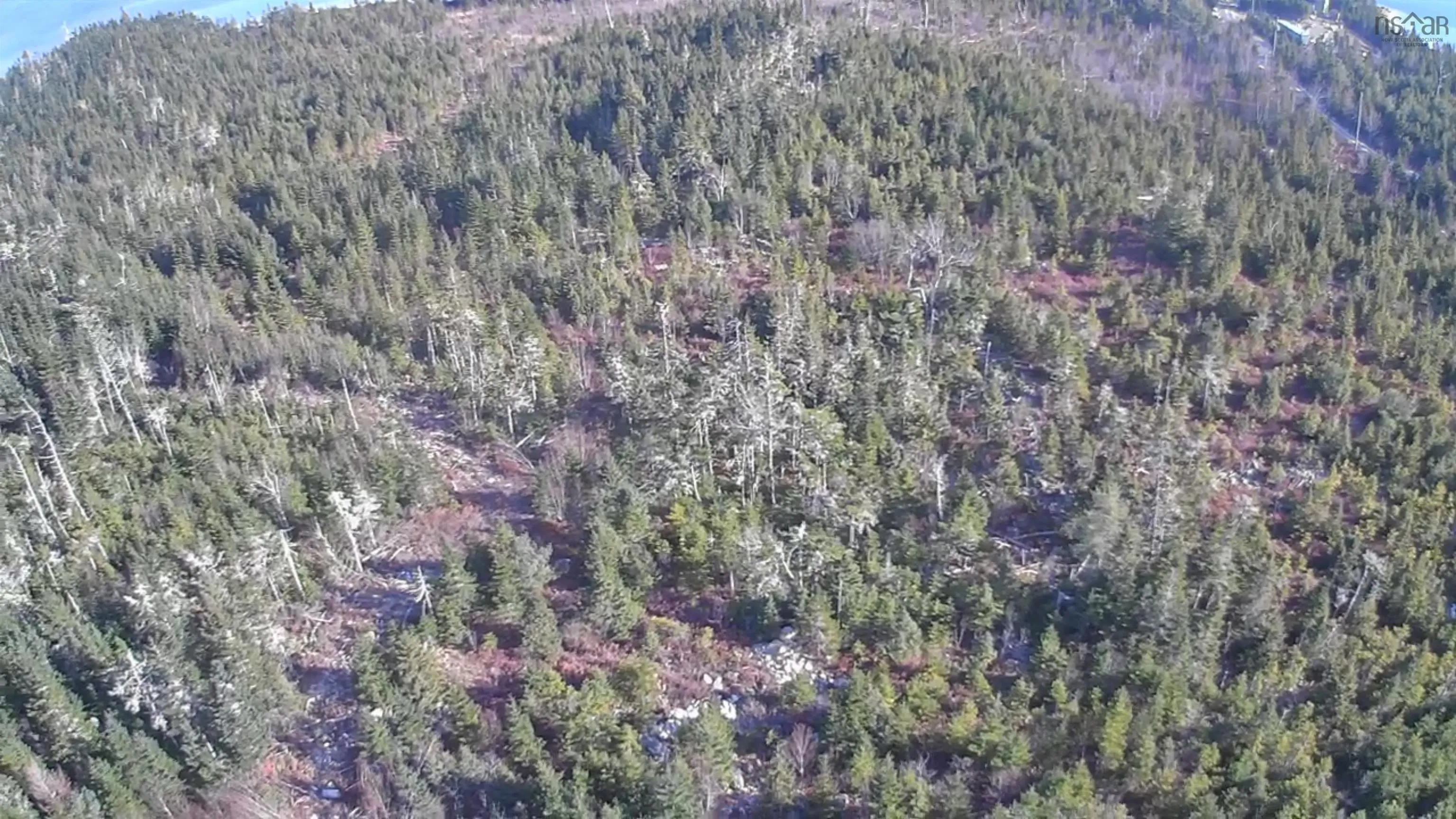 B-lot 4-b West Petpeswick Road, Musquodoboit Harbour, NS B0J 2L0, ,Land,For Sale,West Petpeswick,202514974