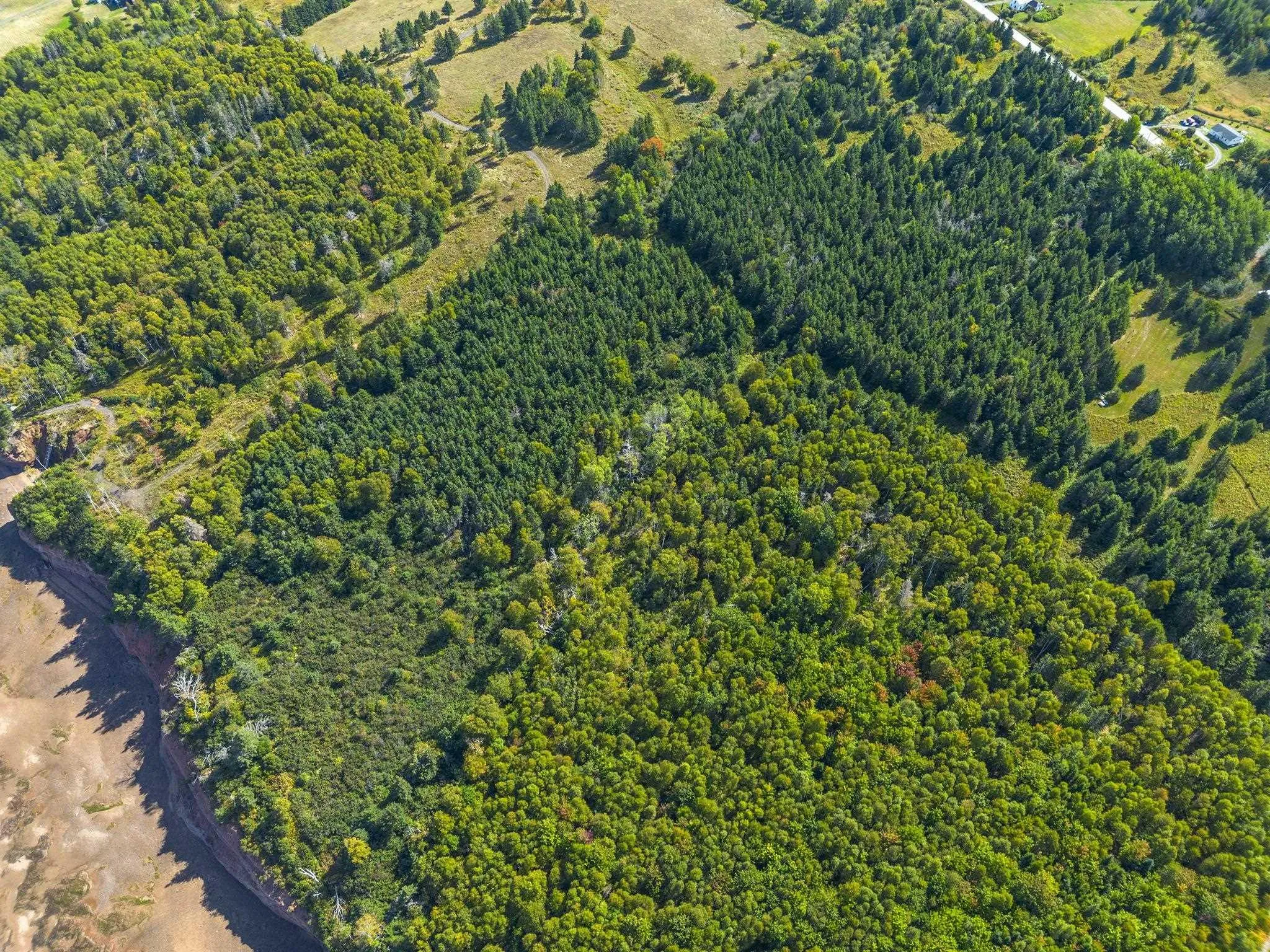 Highway 215 Lot 4, Tennecape, NS B0N 1T0, ,Land,For Sale,Highway 215,202524783