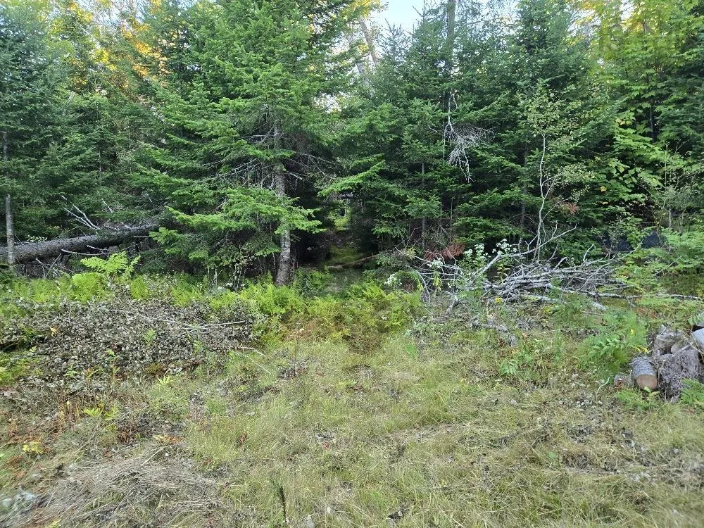 Union 1 Road Greenfield, Greenfield, NS B6L 4L8, ,Land,For Sale,Union 1 Road Greenfield,202522465