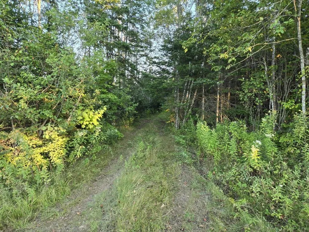 Union 1 Road Greenfield, Greenfield, NS B6L 4L8, ,Land,For Sale,Union 1 Road Greenfield,202522465