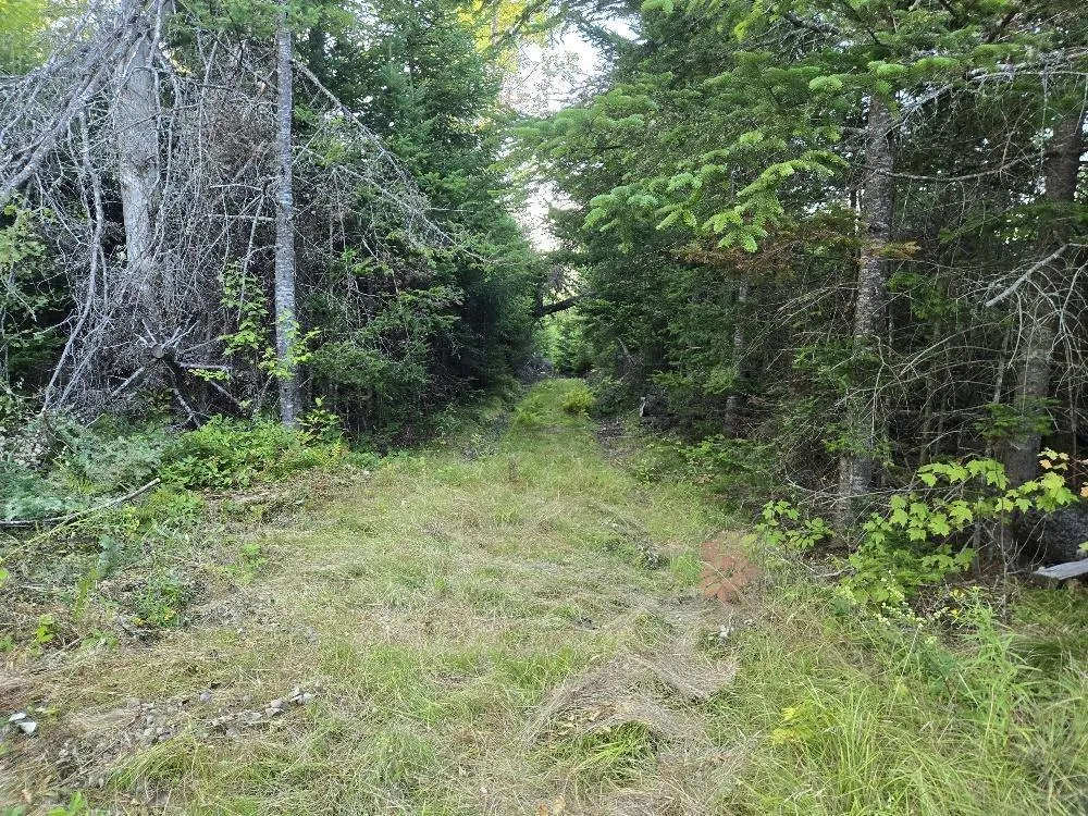 Union 1 Road Greenfield, Greenfield, NS B6L 4L8, ,Land,For Sale,Union 1 Road Greenfield,202522465