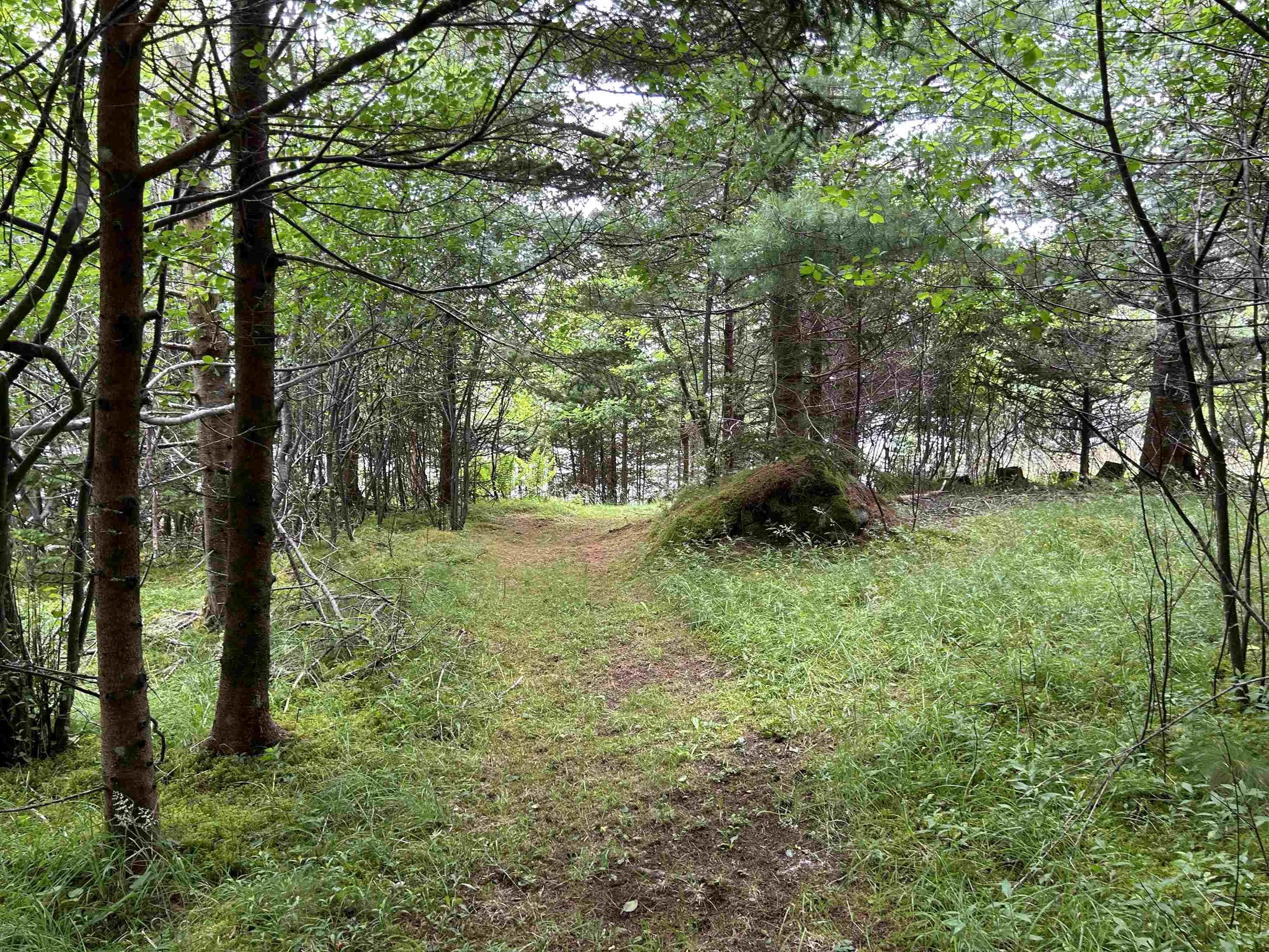 142 Bay Side Drive, Brass Hill Ns B0w 1e0, 5 Bedrooms Bedrooms, ,2 BathroomsBathrooms,Residential,For Sale,Bay Side,202426759