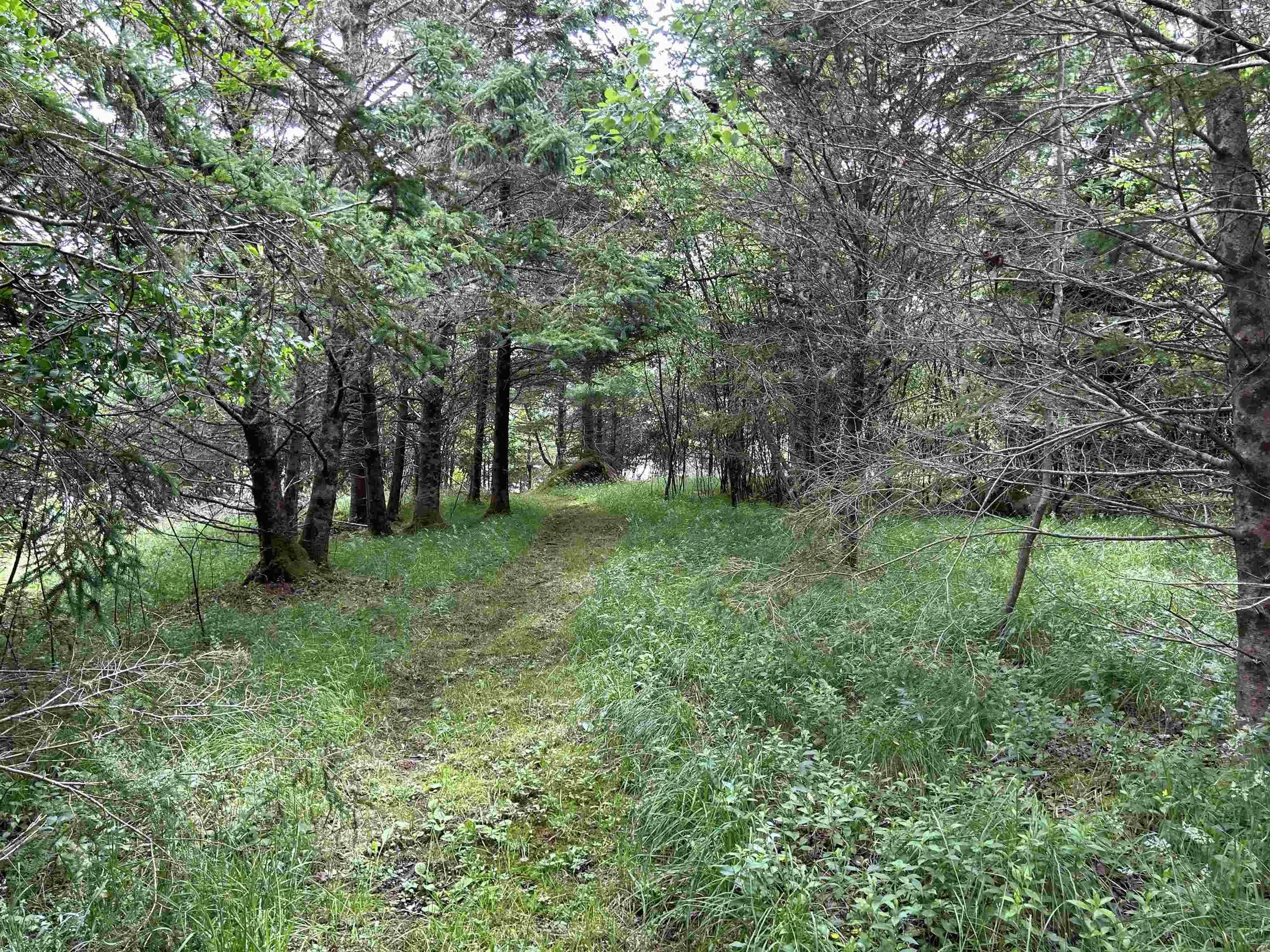 142 Bay Side Drive, Brass Hill Ns B0w 1e0, 5 Bedrooms Bedrooms, ,2 BathroomsBathrooms,Residential,For Sale,Bay Side,202426759
