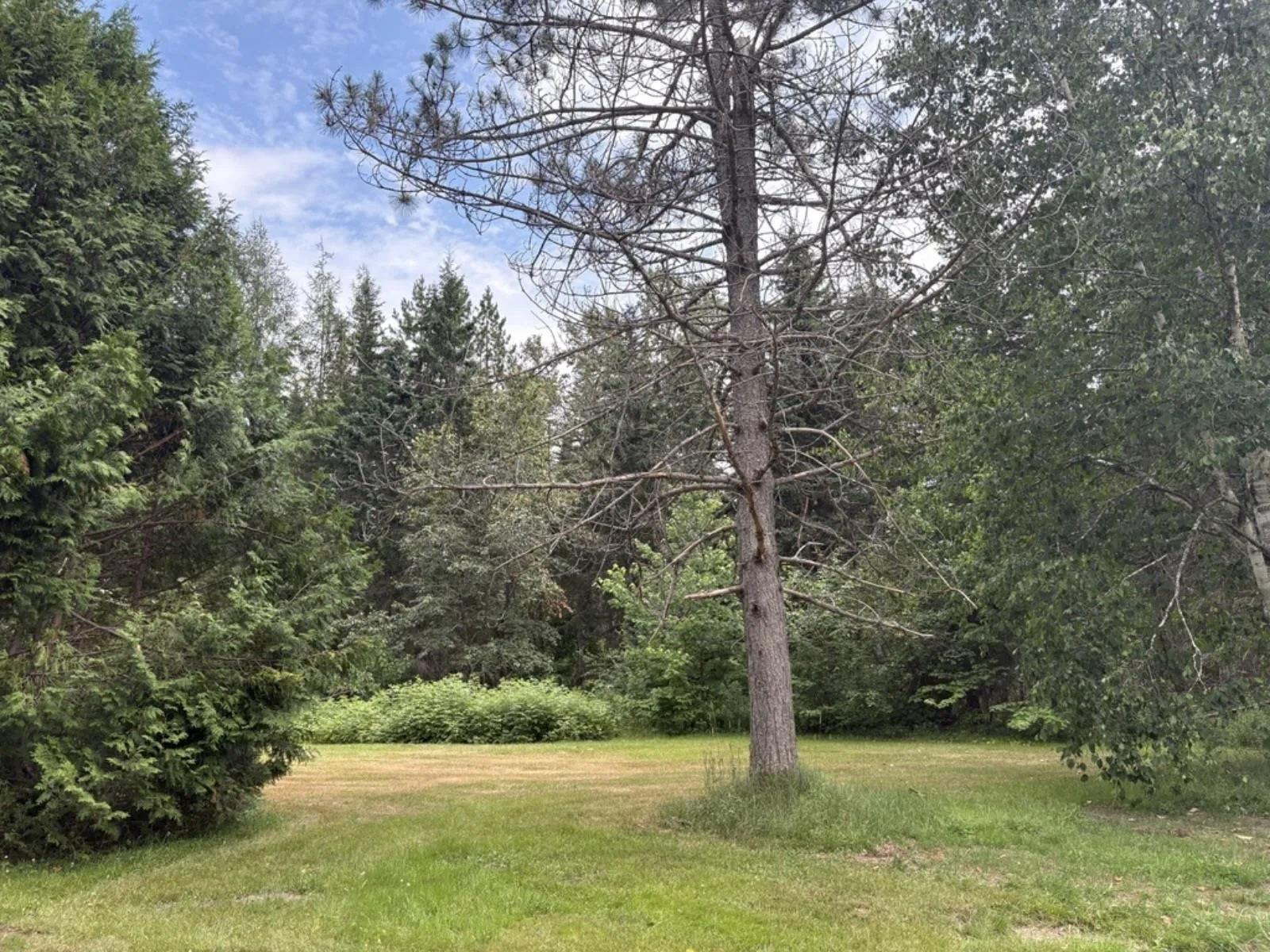 3512 East Big Intervale Rd., Margaree Valley, NS B0E 2C0, 4 Bedrooms Bedrooms, ,2 BathroomsBathrooms,Residential,For Sale,East Big Intervale Rd.,202518822