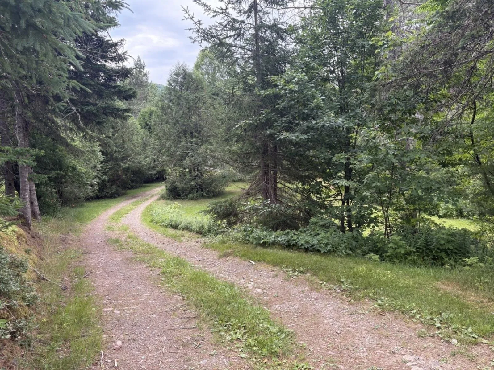 3512 East Big Intervale Rd., Margaree Valley, NS B0E 2C0, 4 Bedrooms Bedrooms, ,2 BathroomsBathrooms,Residential,For Sale,East Big Intervale Rd.,202518822