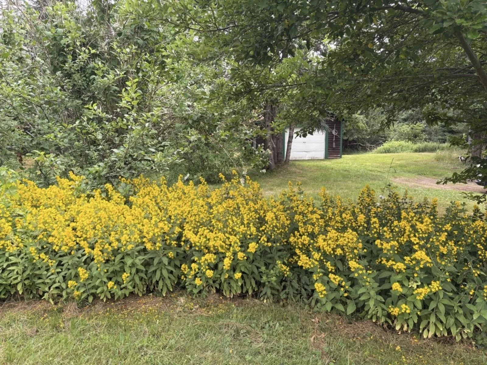 3512 East Big Intervale Rd., Margaree Valley, NS B0E 2C0, 4 Bedrooms Bedrooms, ,2 BathroomsBathrooms,Residential,For Sale,East Big Intervale Rd.,202518822
