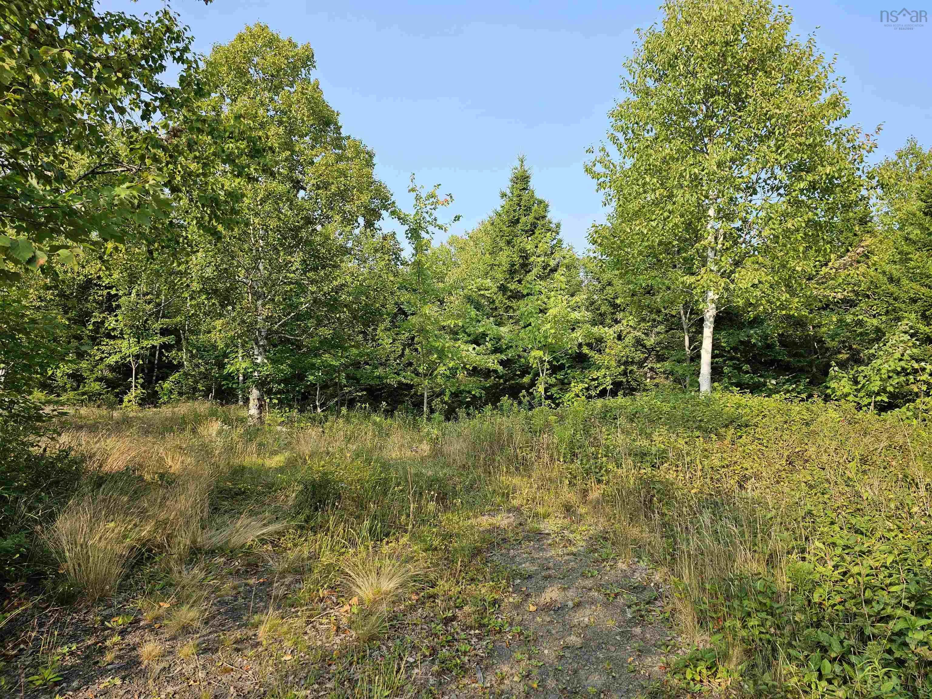 Fundy Lane Lot 52, Two Islands Ns B0m 1s0, ,Land,For Sale,Fundy,202419979