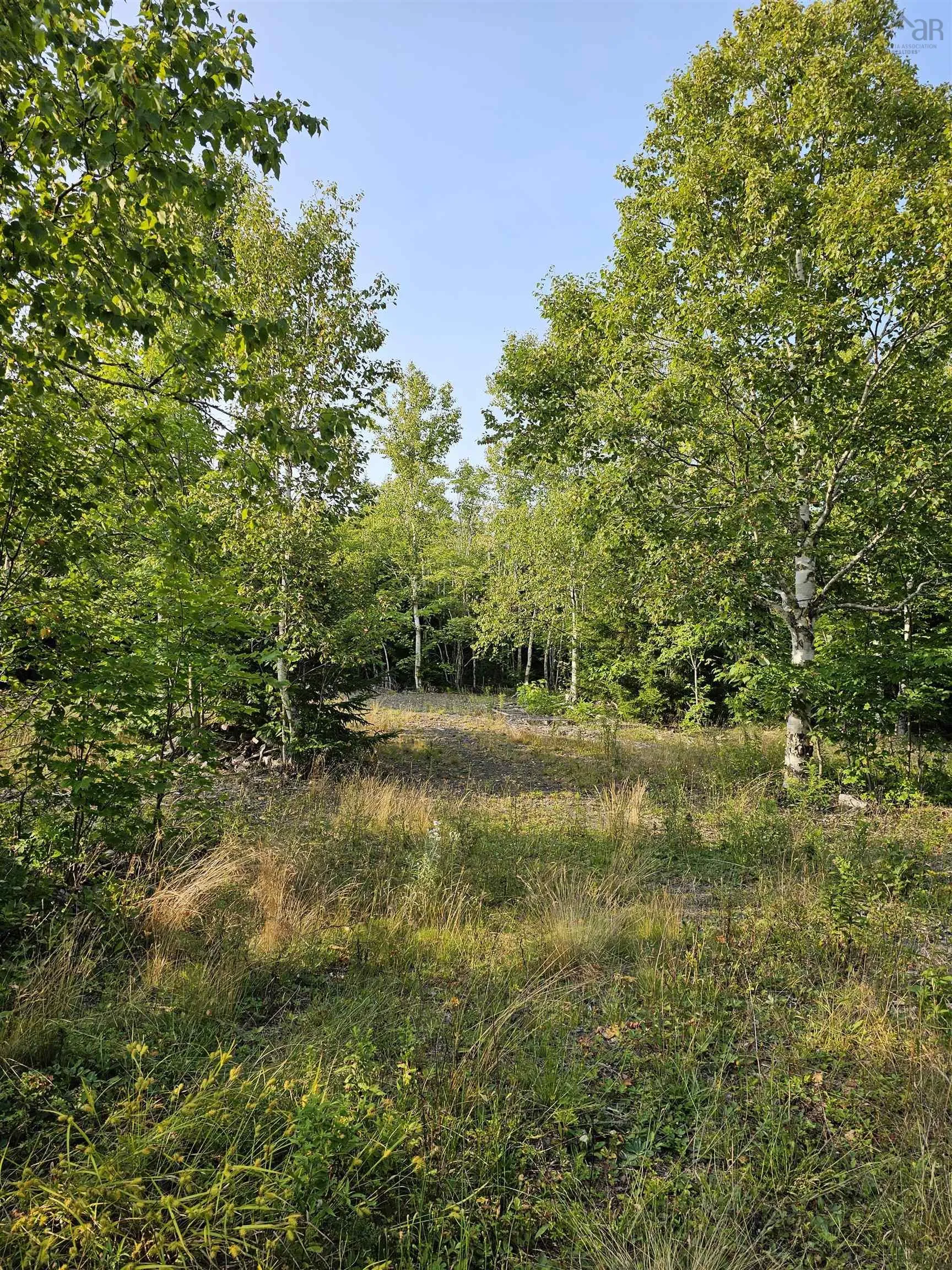 Fundy Lane Lot 52, Two Islands Ns B0m 1s0, ,Land,For Sale,Fundy,202419979