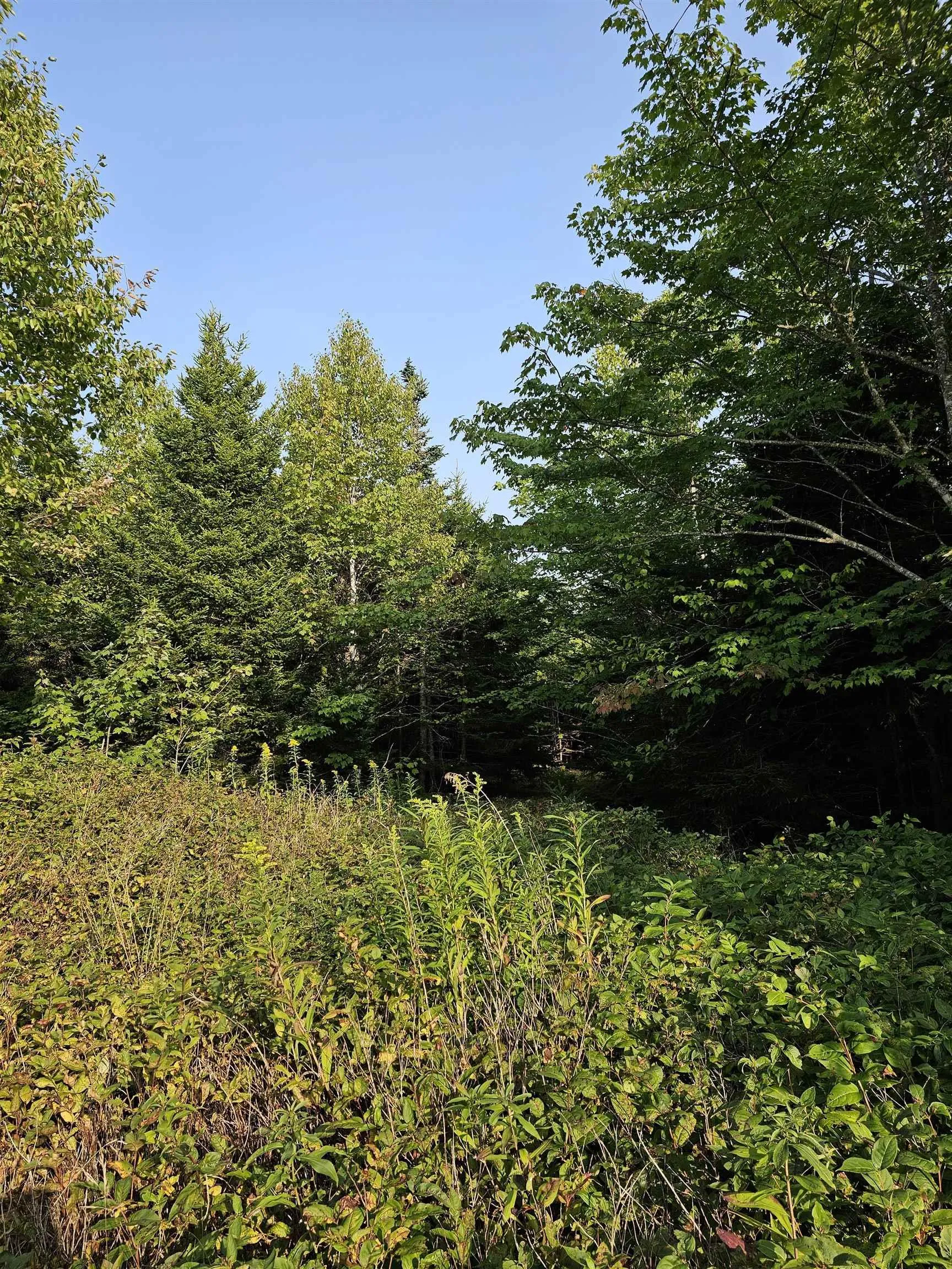 Fundy Lane Lot 52, Two Islands Ns B0m 1s0, ,Land,For Sale,Fundy,202419979