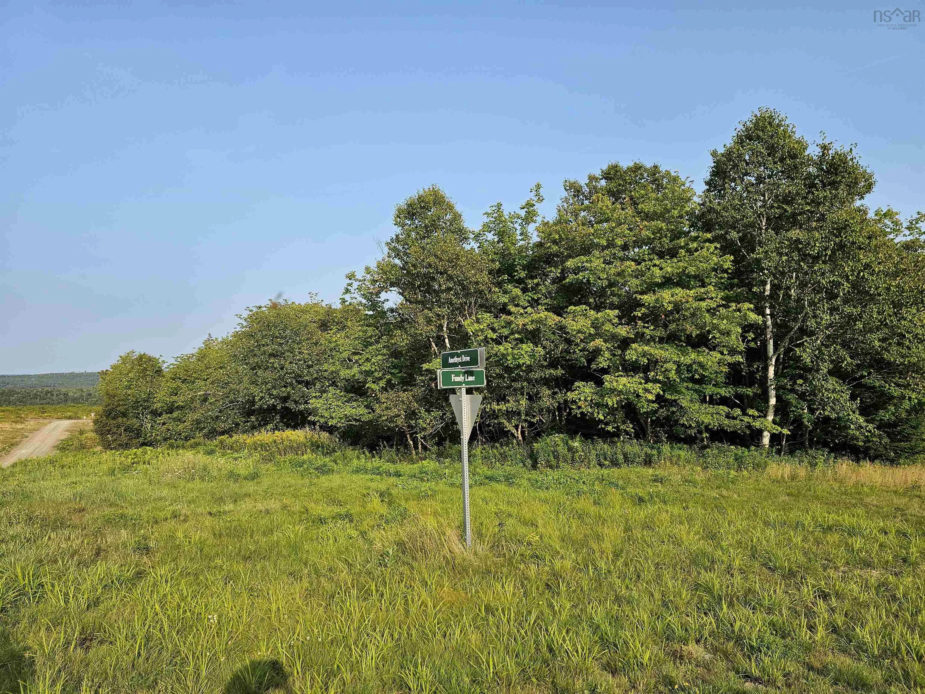 Fundy Lane Lot 52, Two Islands Ns B0m 1s0, ,Land,For Sale,Fundy,202419979
