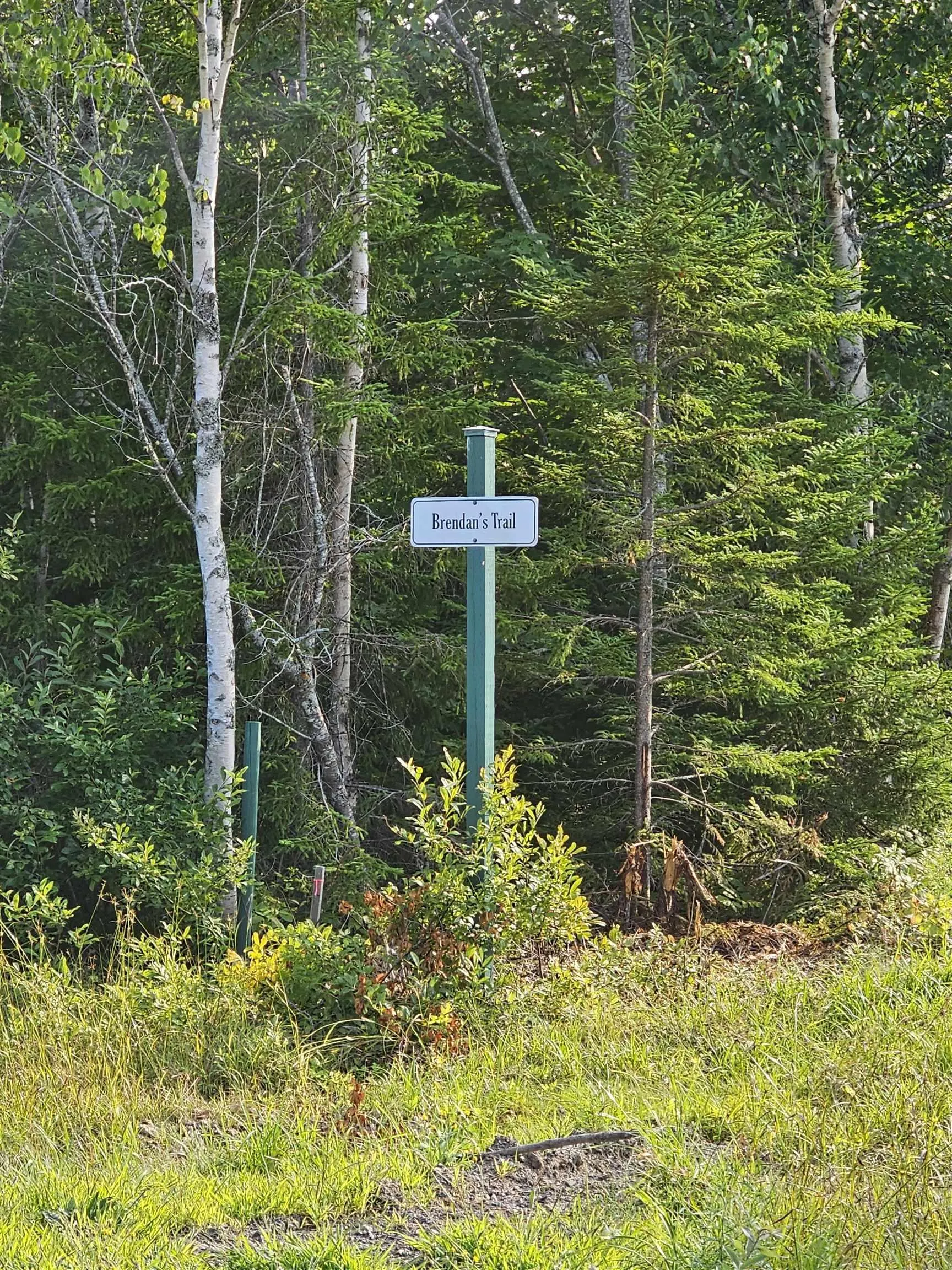 Fundy Lane Lot 52, Two Islands Ns B0m 1s0, ,Land,For Sale,Fundy,202419979