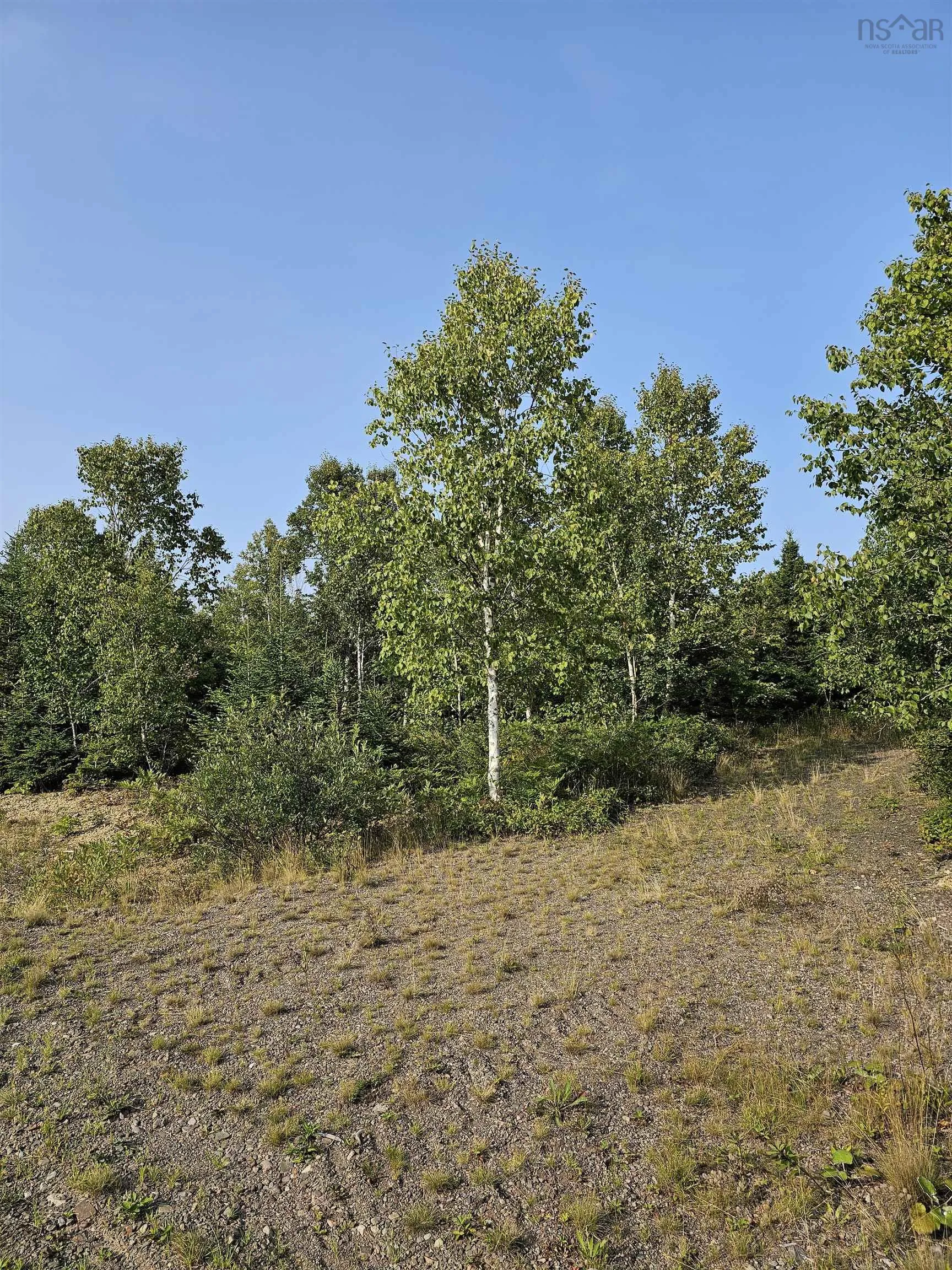 Fundy Lane Lot 52, Two Islands Ns B0m 1s0, ,Land,For Sale,Fundy,202419979