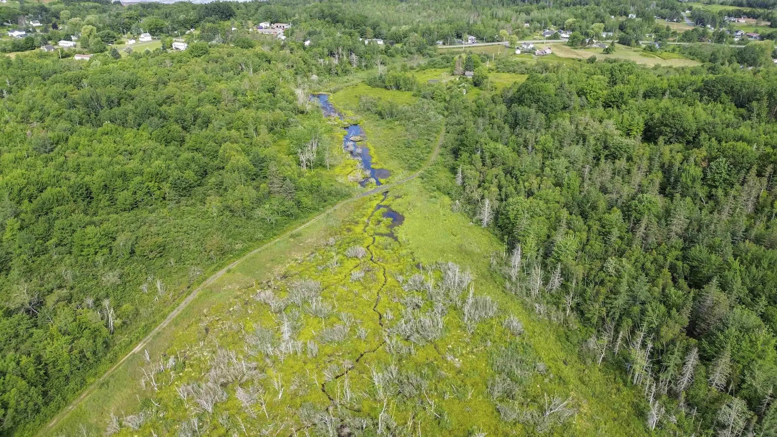 6782 Highway 215, Cheverie, NS B0N 2A0, ,Land,For Sale,Highway 215,202517830