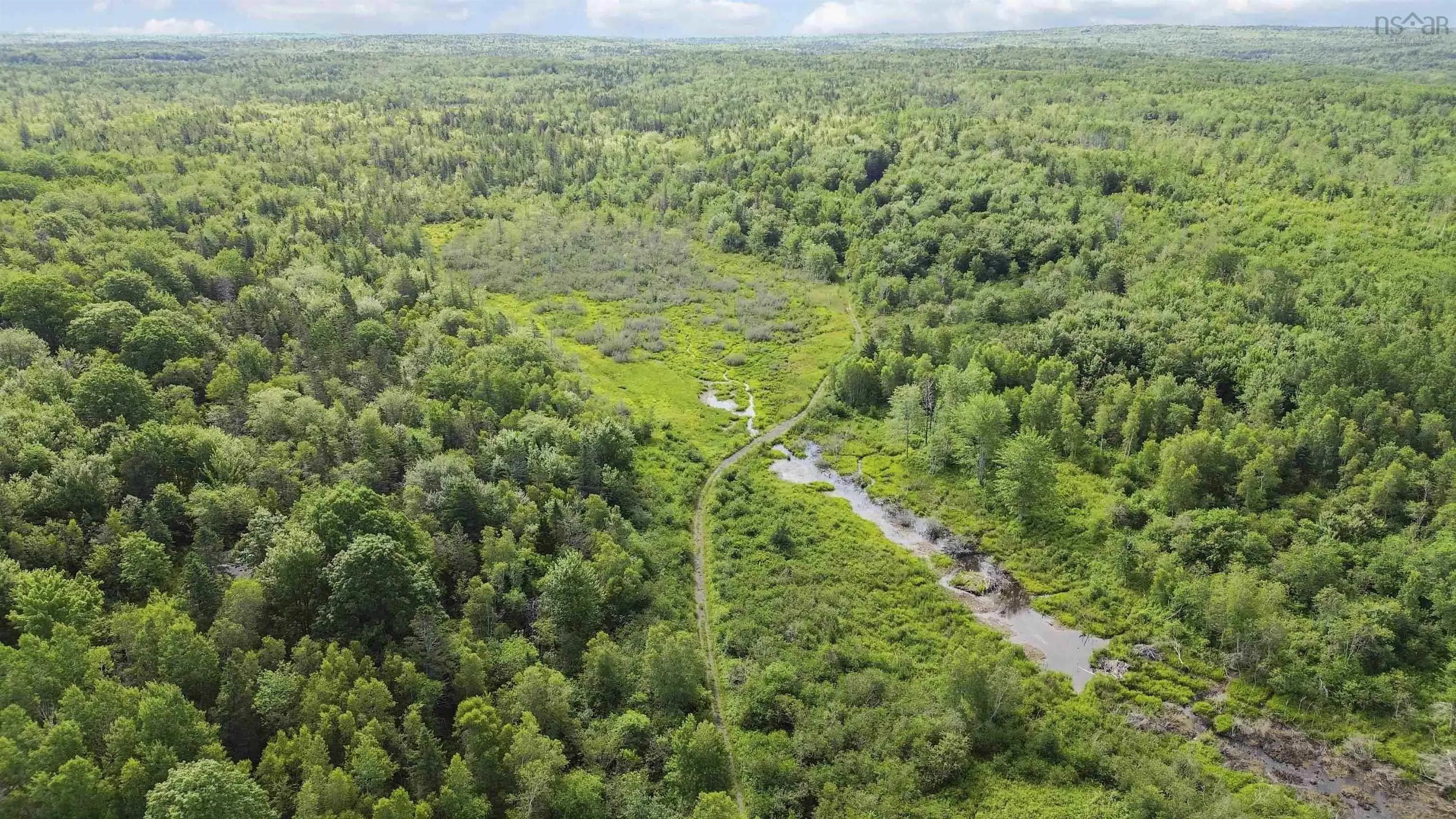 6782 Highway 215, Cheverie, NS B0N 2A0, ,Land,For Sale,Highway 215,202517830