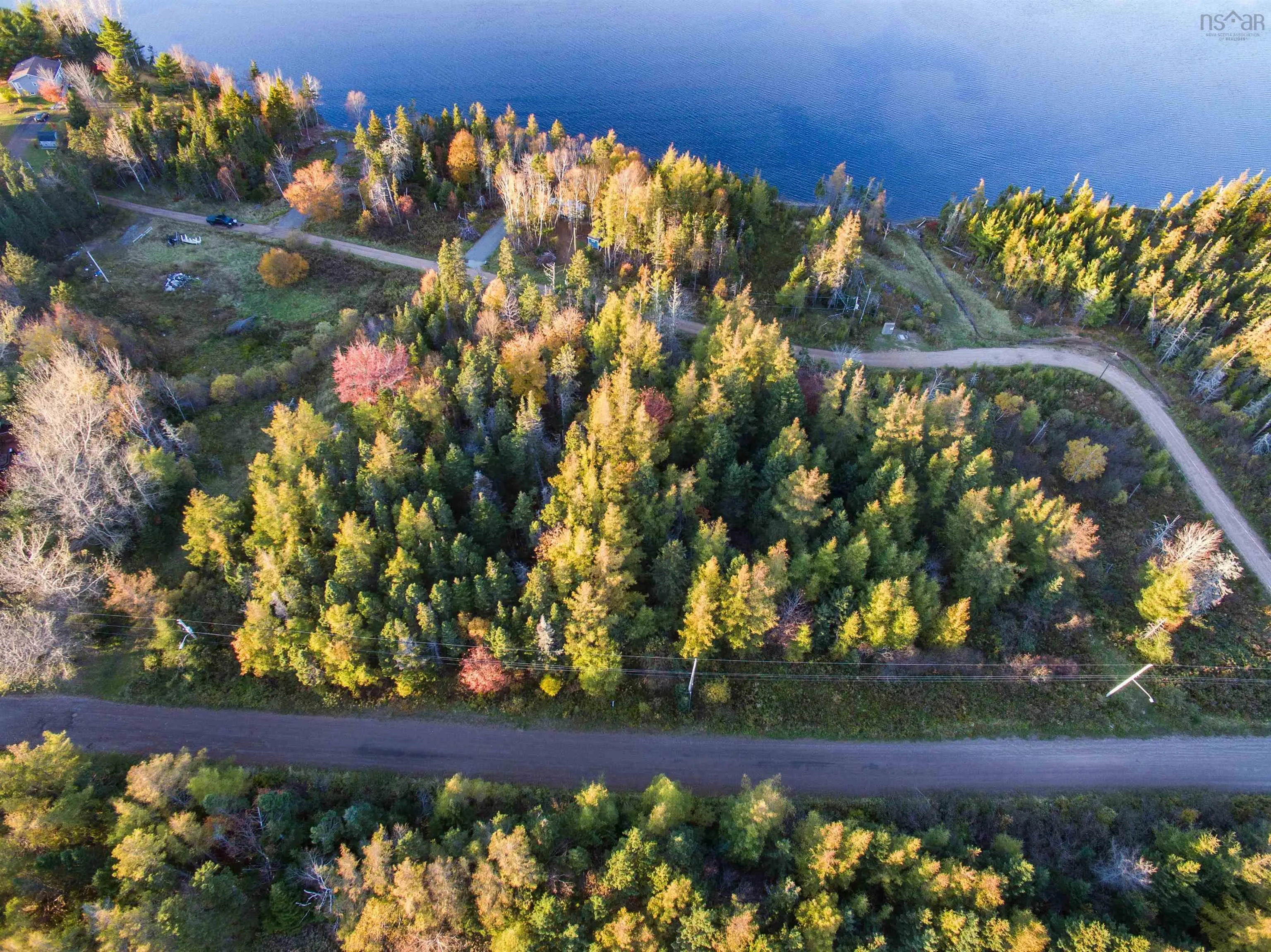 Spruce Tree Dr, Evanston Ns B0e 1j0, ,Land,For Sale,Spruce Tree Dr,202424410