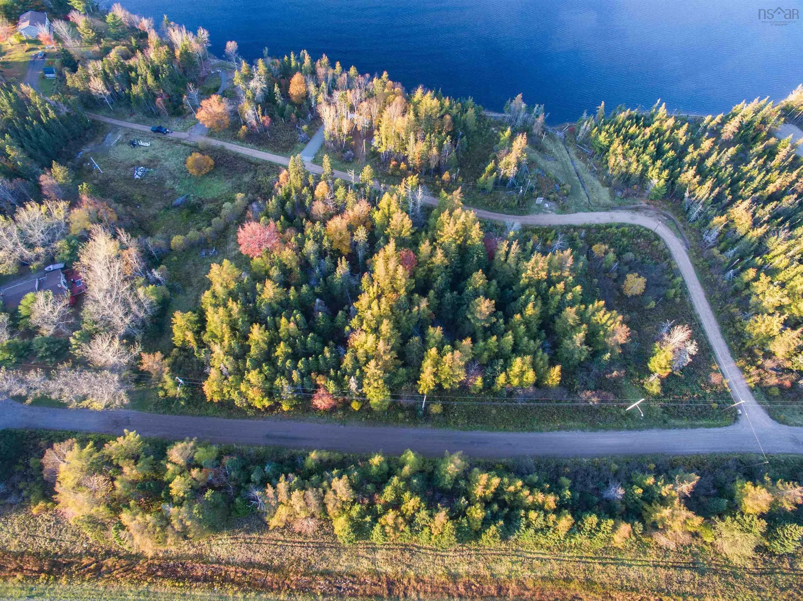Spruce Tree Dr, Evanston Ns B0e 1j0, ,Land,For Sale,Spruce Tree Dr,202424410