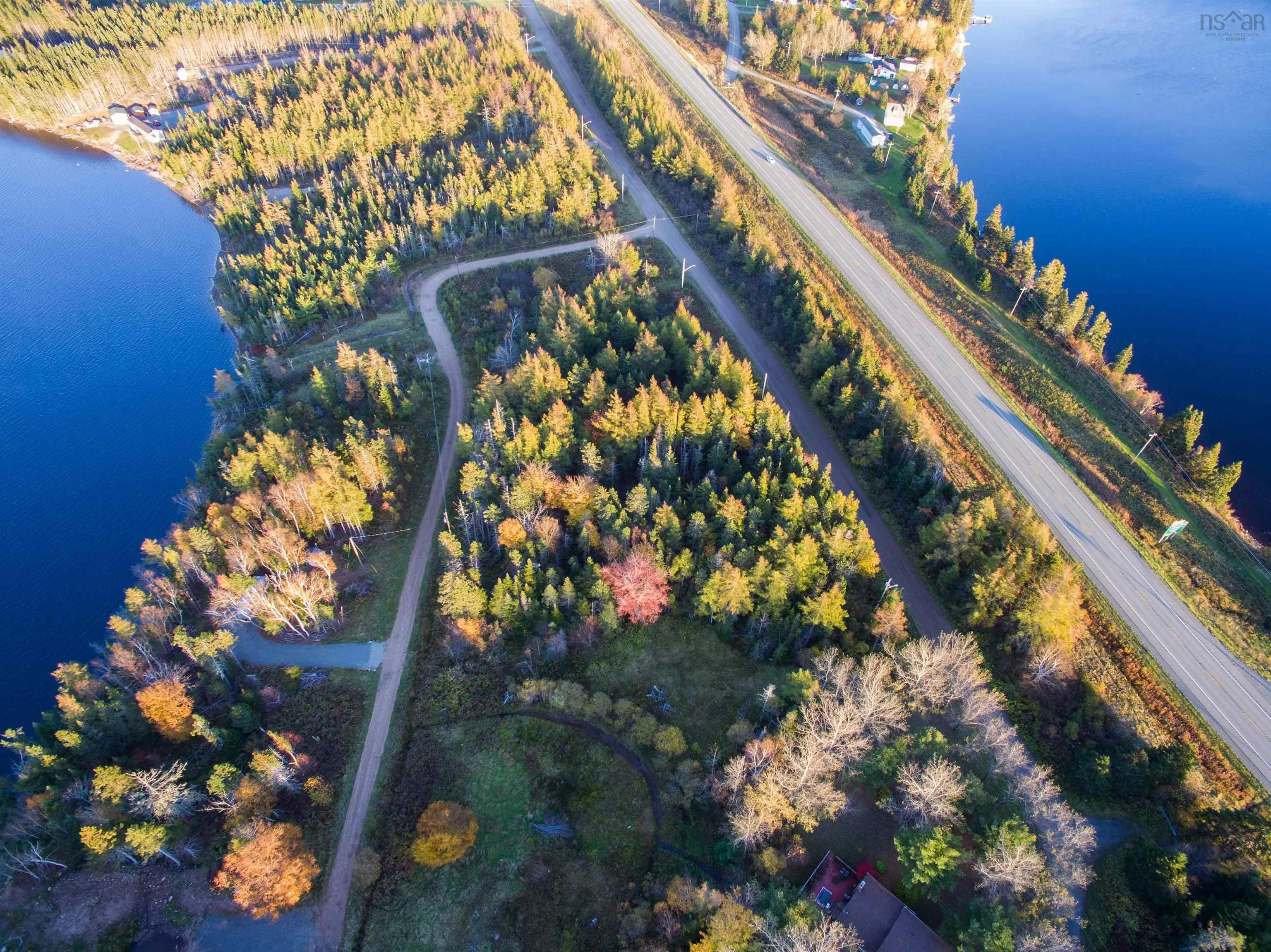Spruce Tree Dr, Evanston Ns B0e 1j0, ,Land,For Sale,Spruce Tree Dr,202424410