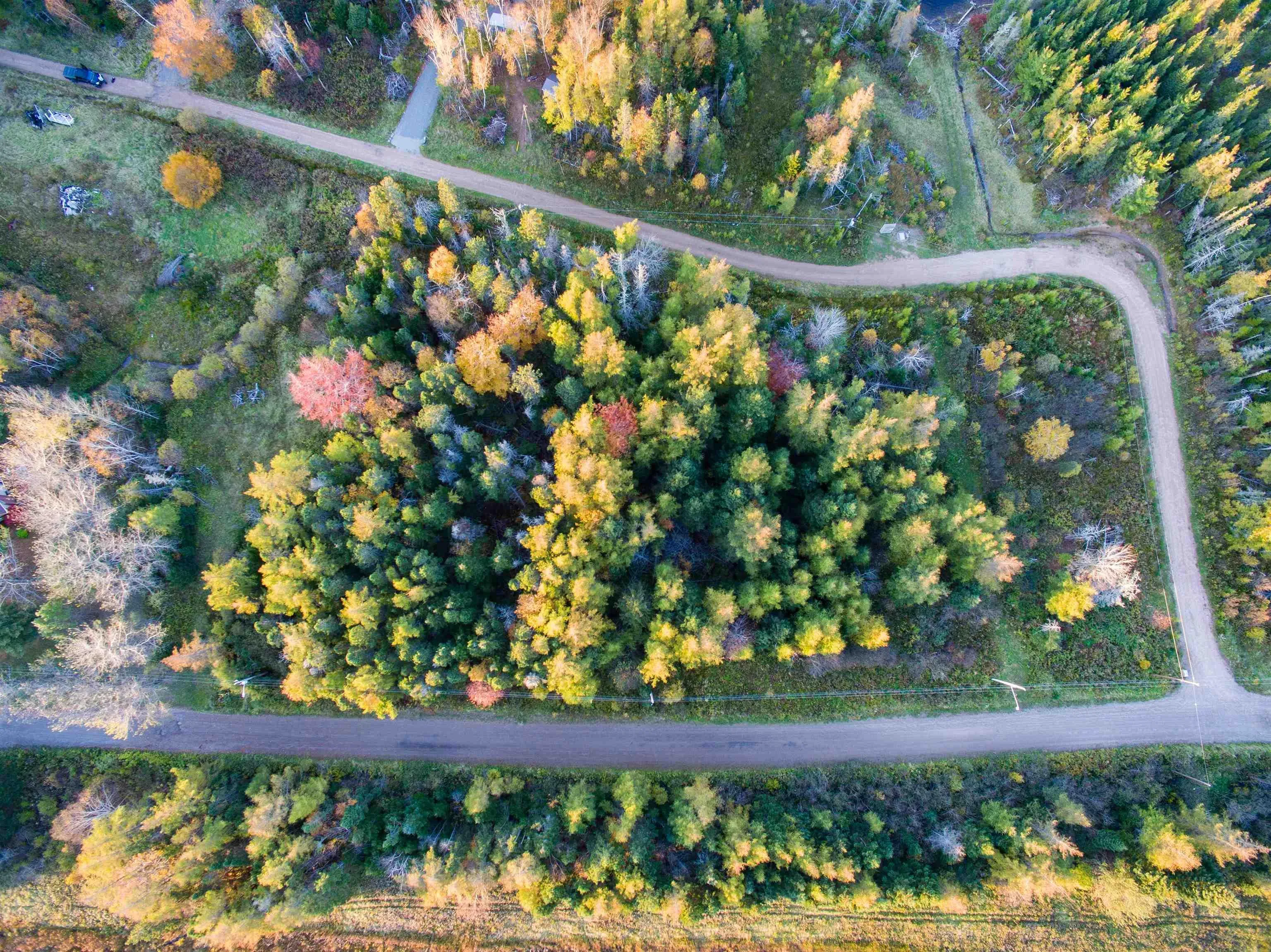 Spruce Tree Dr, Evanston Ns B0e 1j0, ,Land,For Sale,Spruce Tree Dr,202424410