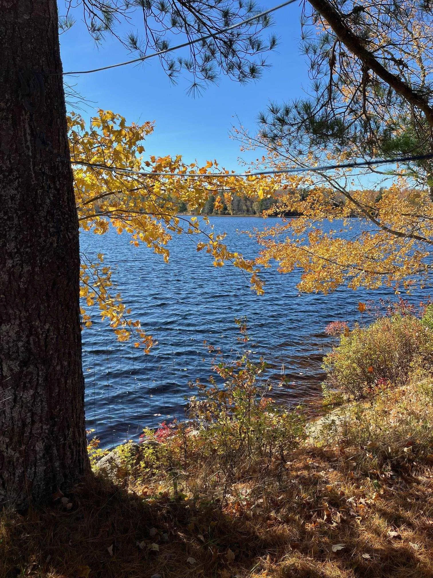 0 Davison Mill West Road, Hastings, NS B0R 1H0, ,Land,For Sale,Davison Mill West,202517900