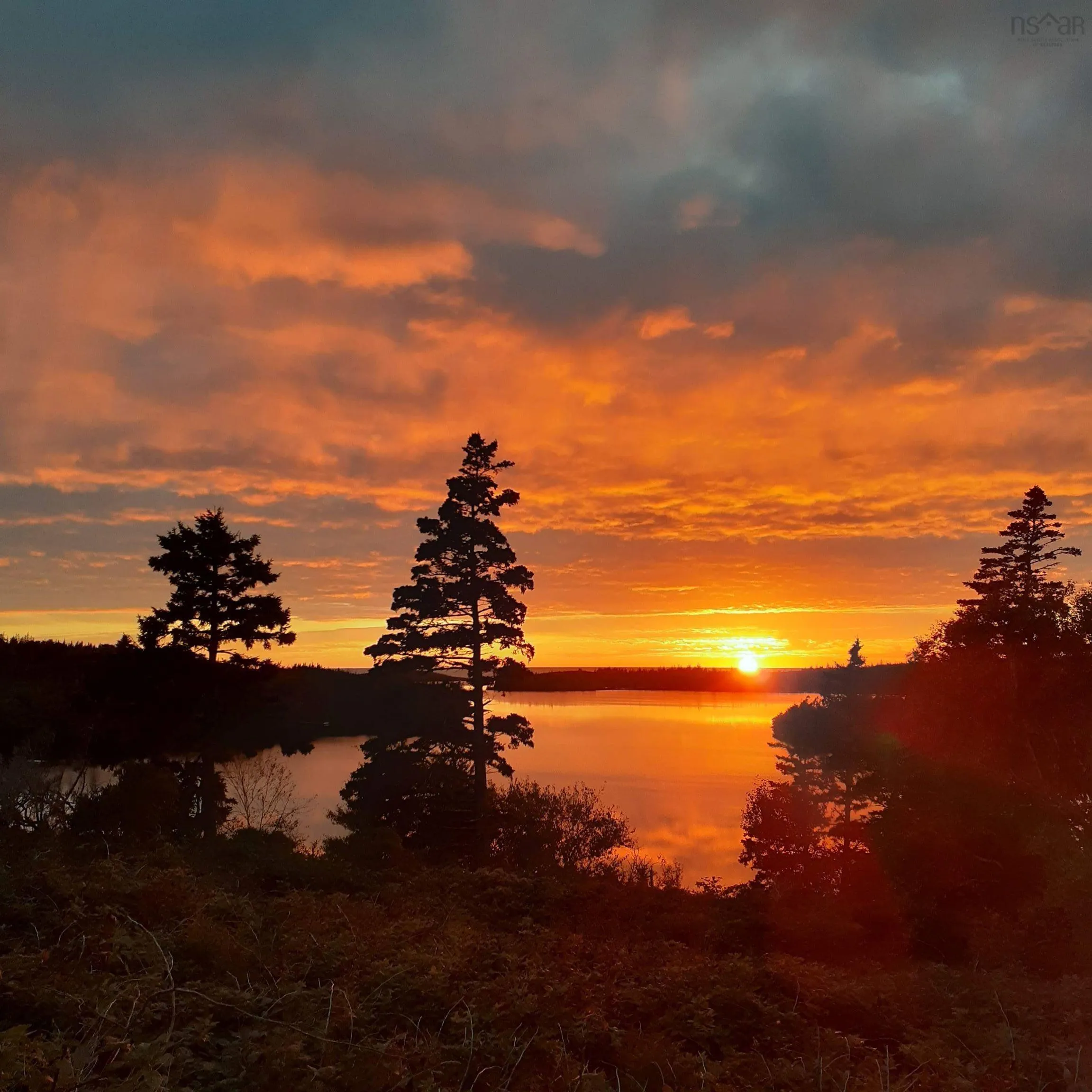 59 Lake Darling Road, Darlings Lake Ns B5a 5l1, 4 Bedrooms Bedrooms, ,3 BathroomsBathrooms,Residential,For Sale,Lake Darling,202509422
