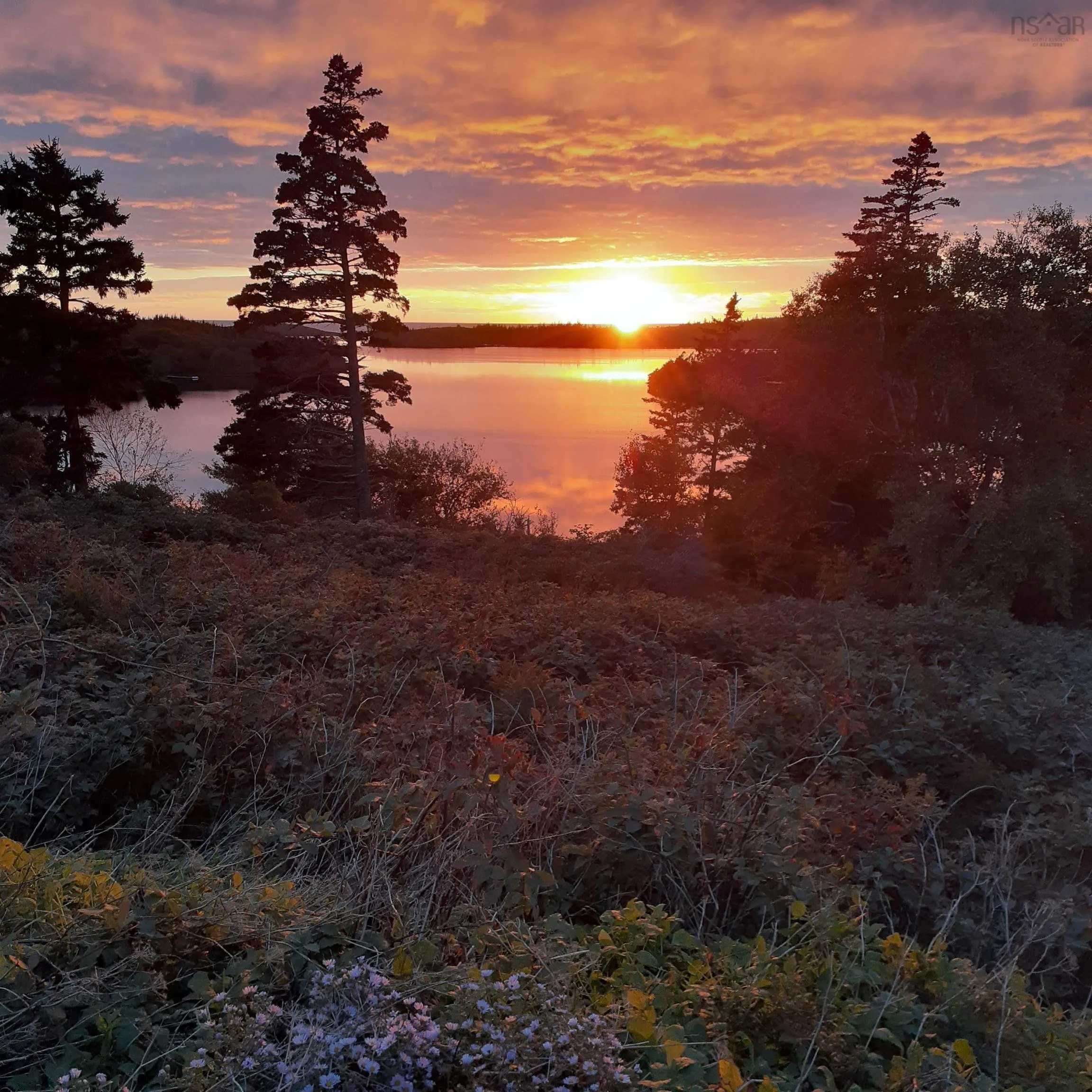 59 Lake Darling Road, Darlings Lake Ns B5a 5l1, 4 Bedrooms Bedrooms, ,3 BathroomsBathrooms,Residential,For Sale,Lake Darling,202509422