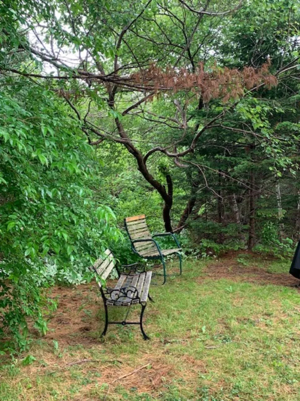 62 Rosalie Avenue, Prospect Bay, NS B3T 1Z8, 4 Bedrooms Bedrooms, ,2 BathroomsBathrooms,Residential,For Sale,Rosalie,202517450