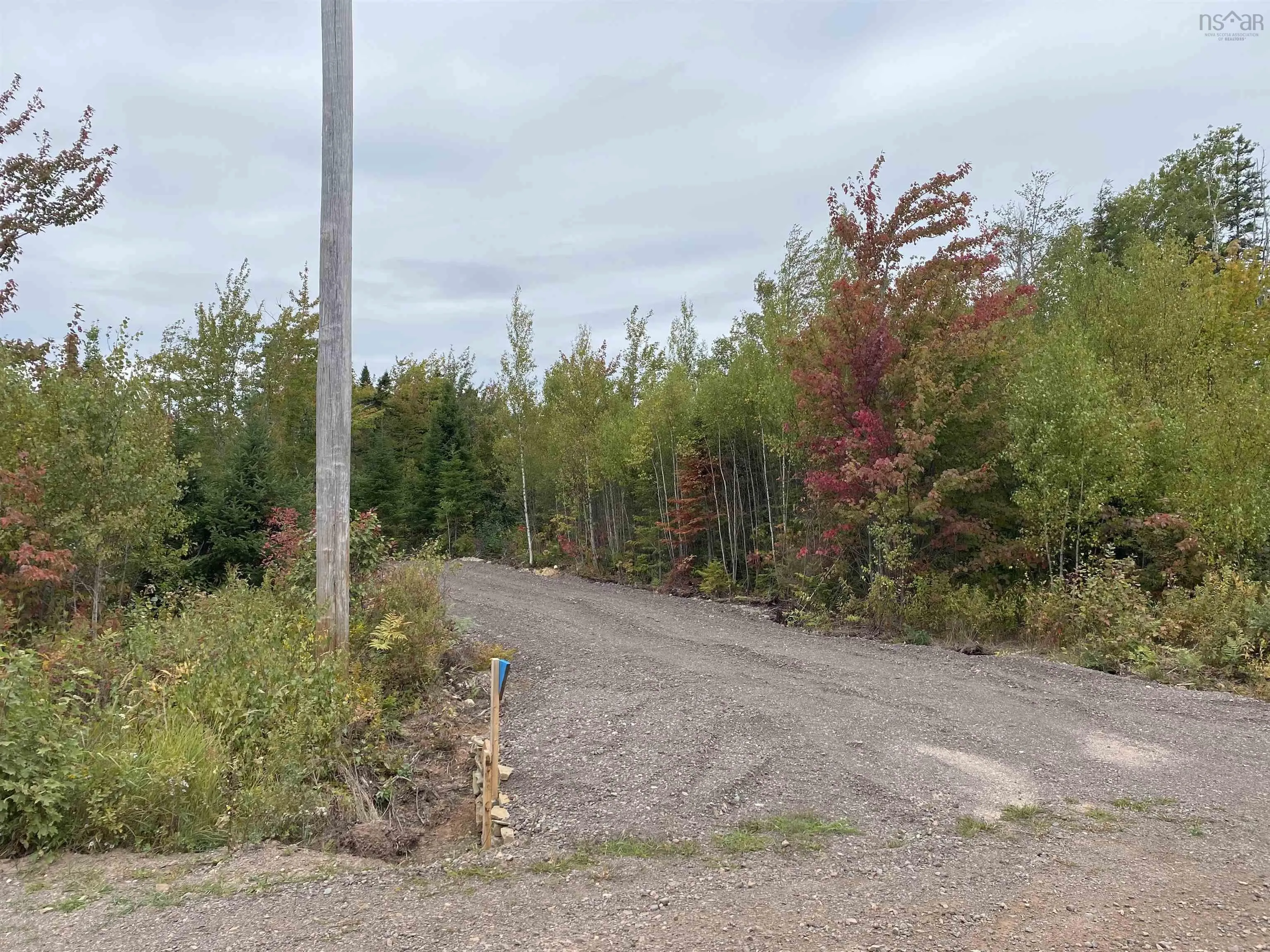 967 College Grant Road, East Branch, NS B0K 1R0, ,Land,For Sale,College Grant,202524822