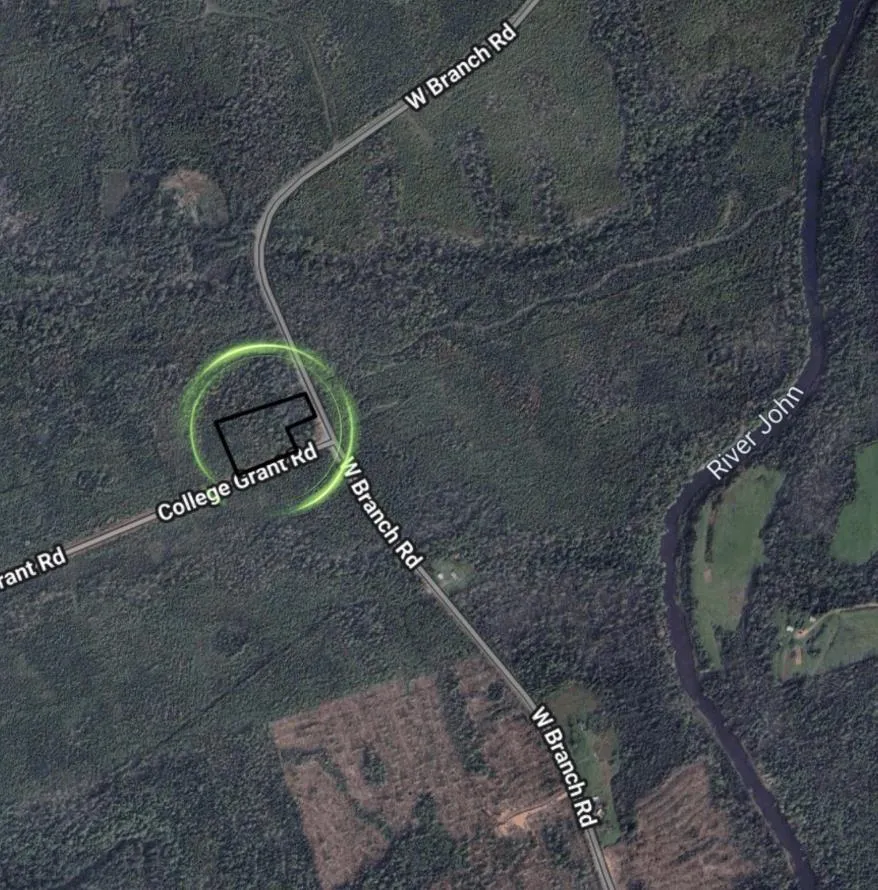 967 College Grant Road, East Branch, NS B0K 1R0, ,Land,For Sale,College Grant,202524822