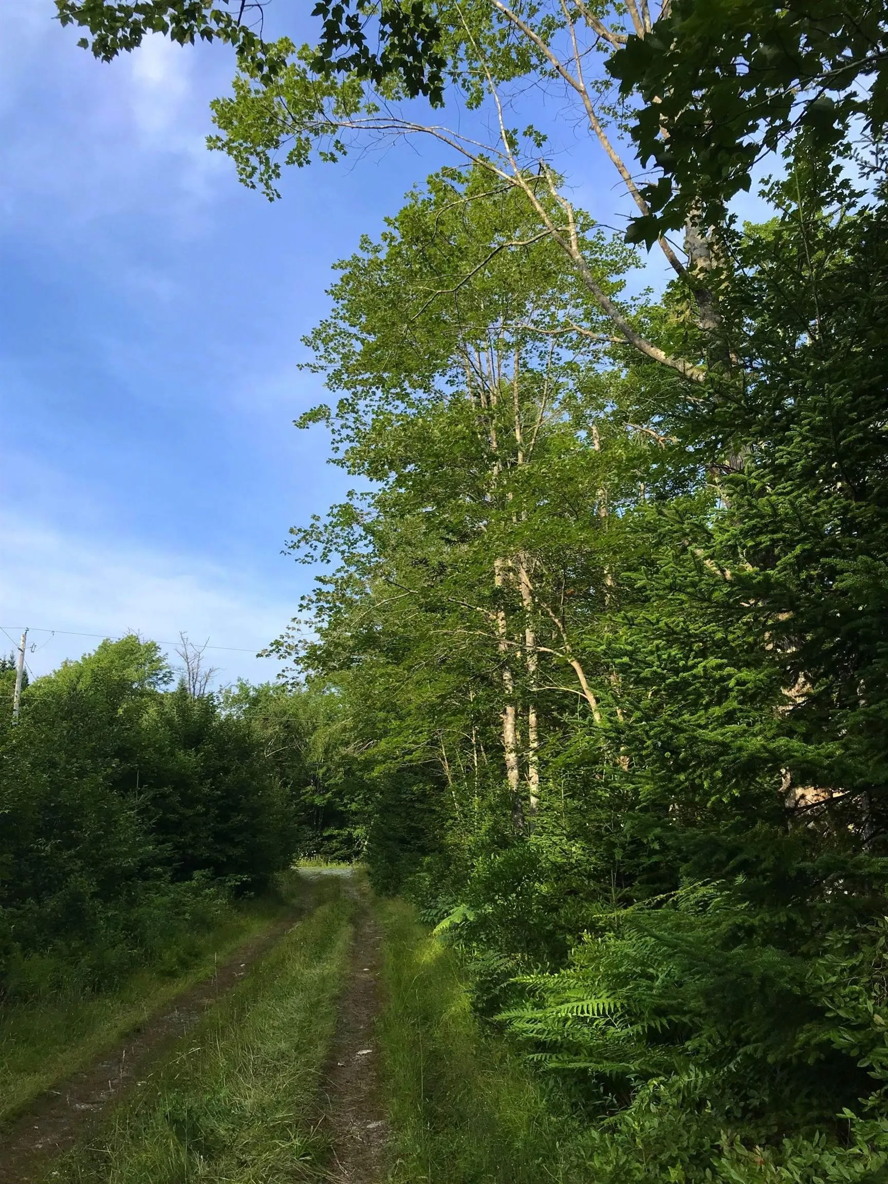 East Sable Road, East Sable River Ns B0t 1v0, ,Land,For Sale,East Sable,202503033